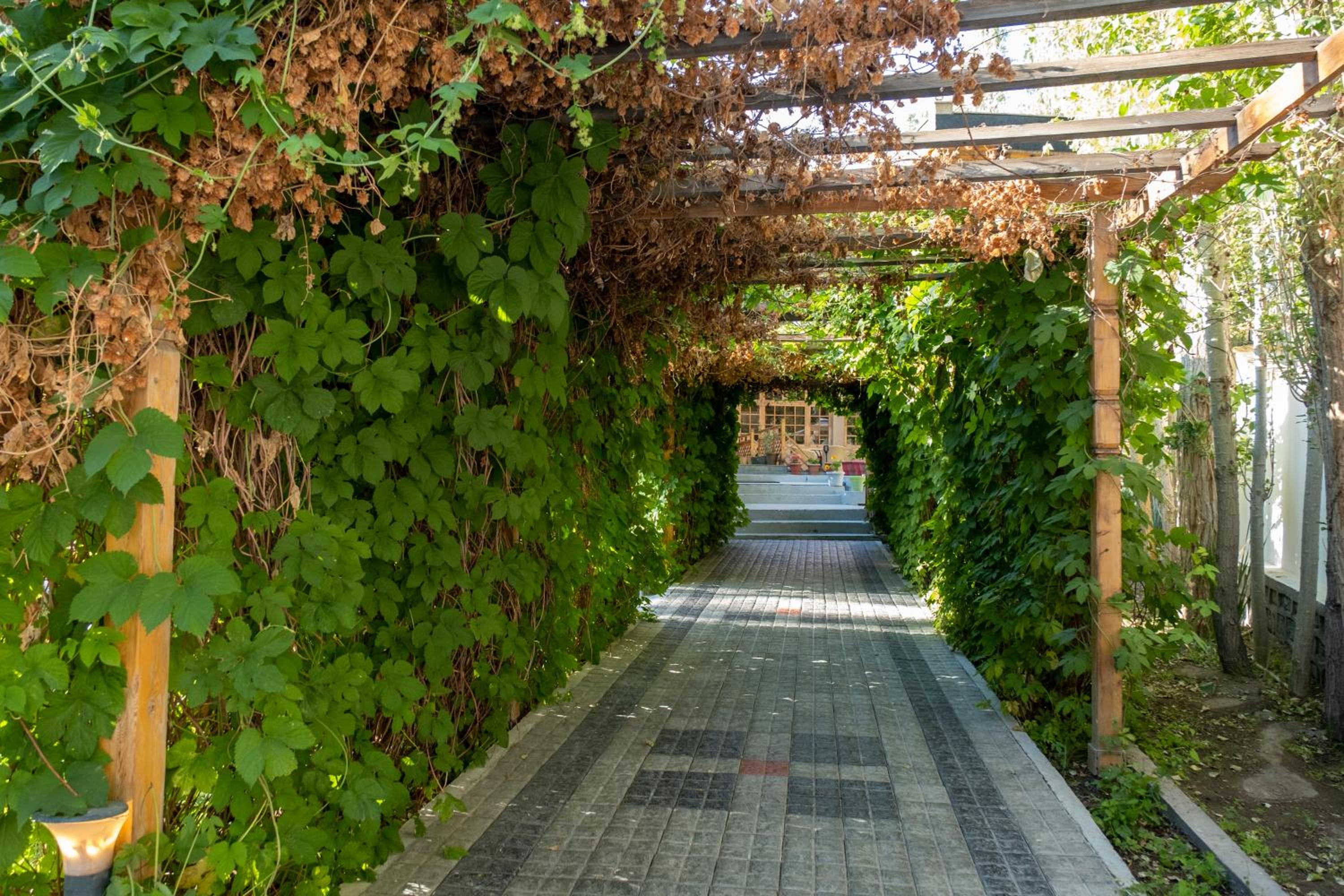 Photo 40