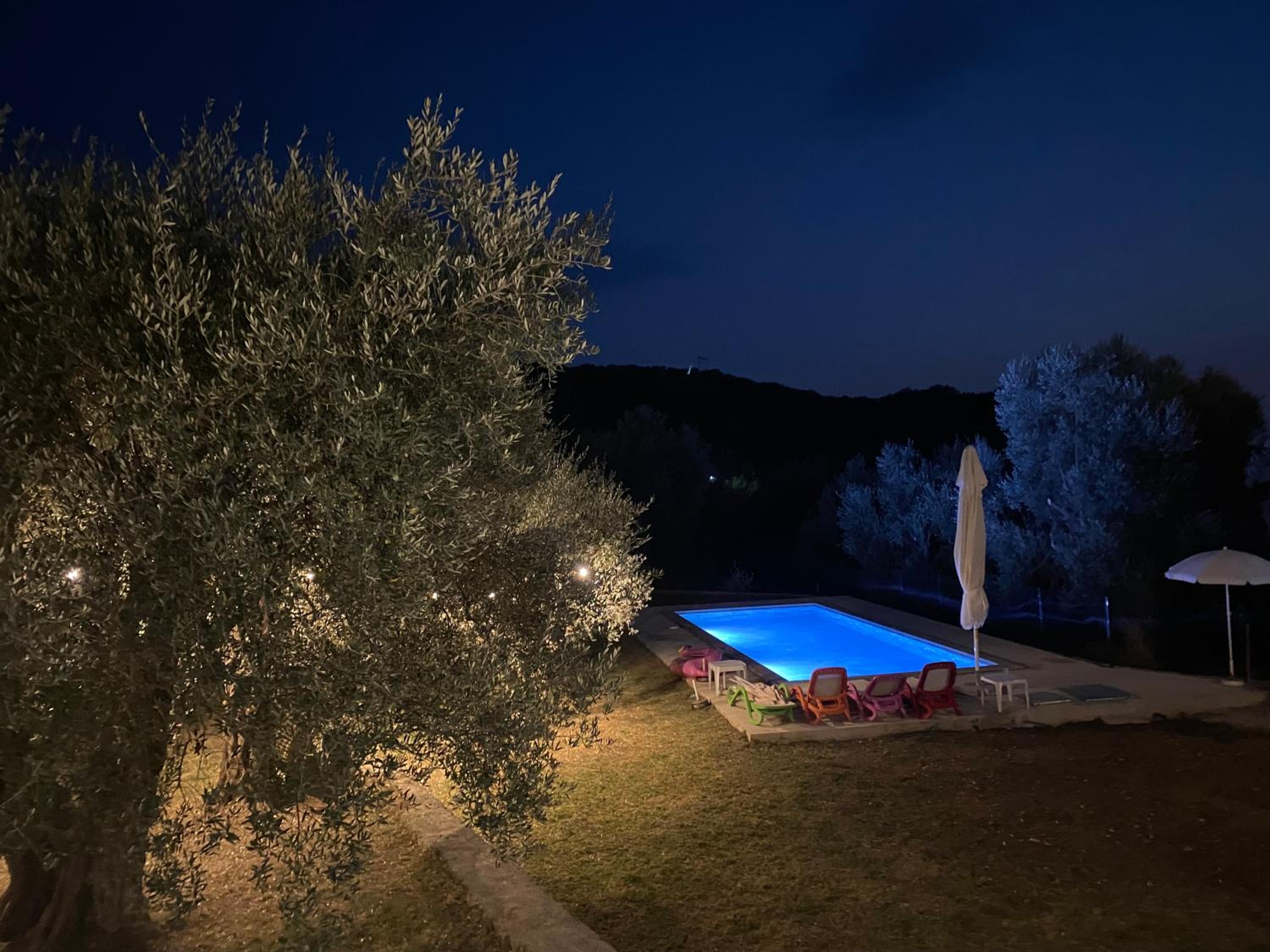 Family House Giardino Verde