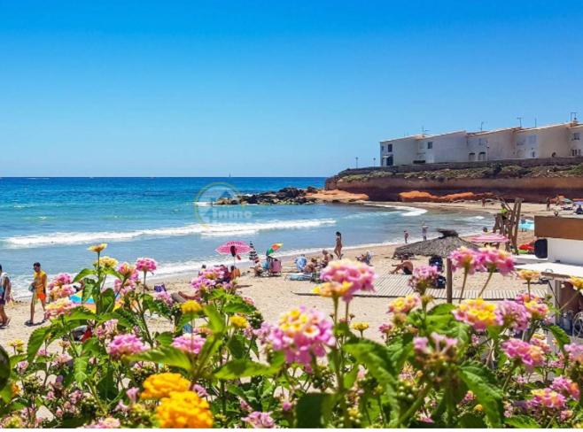 Spanien Holliday