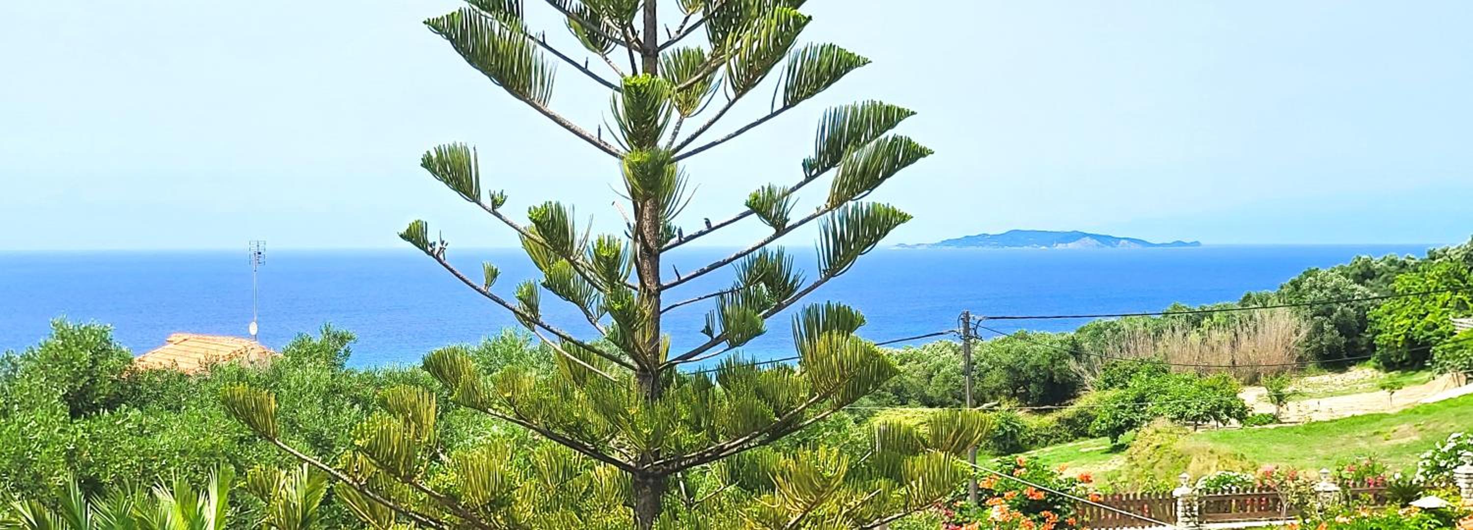 ClaudiAgapi Apartments Korfu
