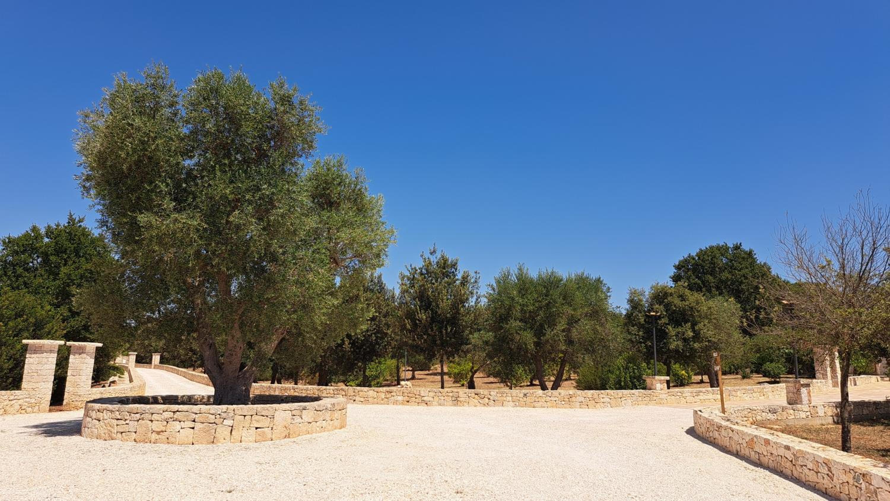Fogliantica Azienda Agrituristica