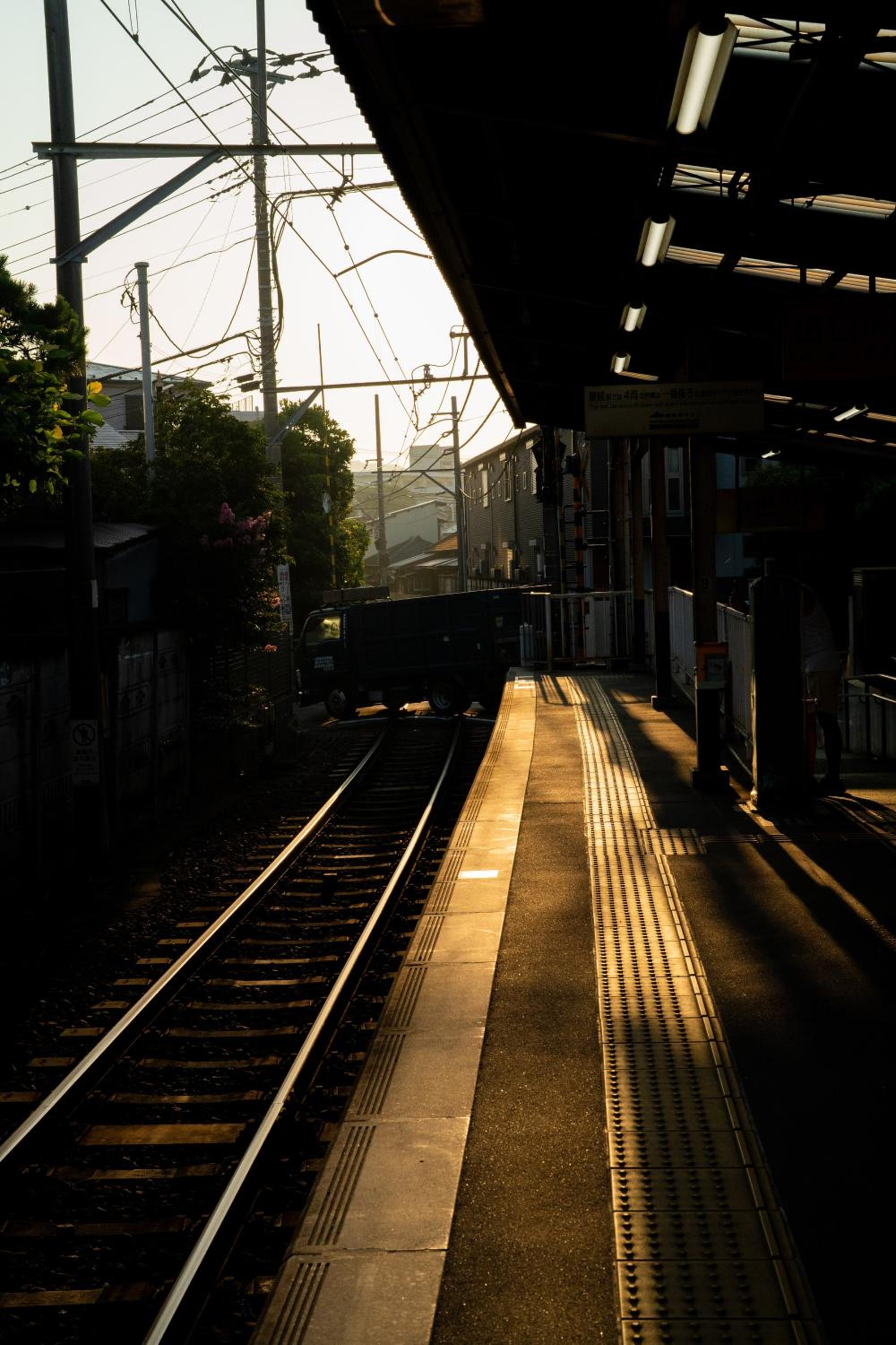 green grass kamakura