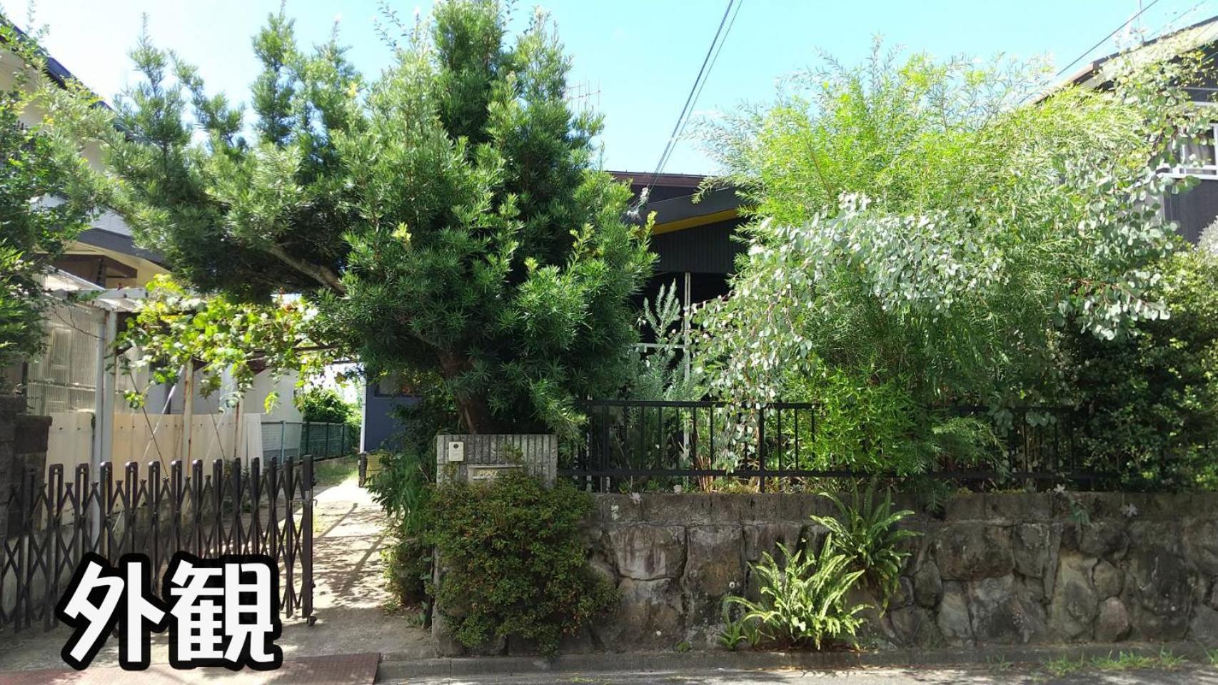 Photo 32