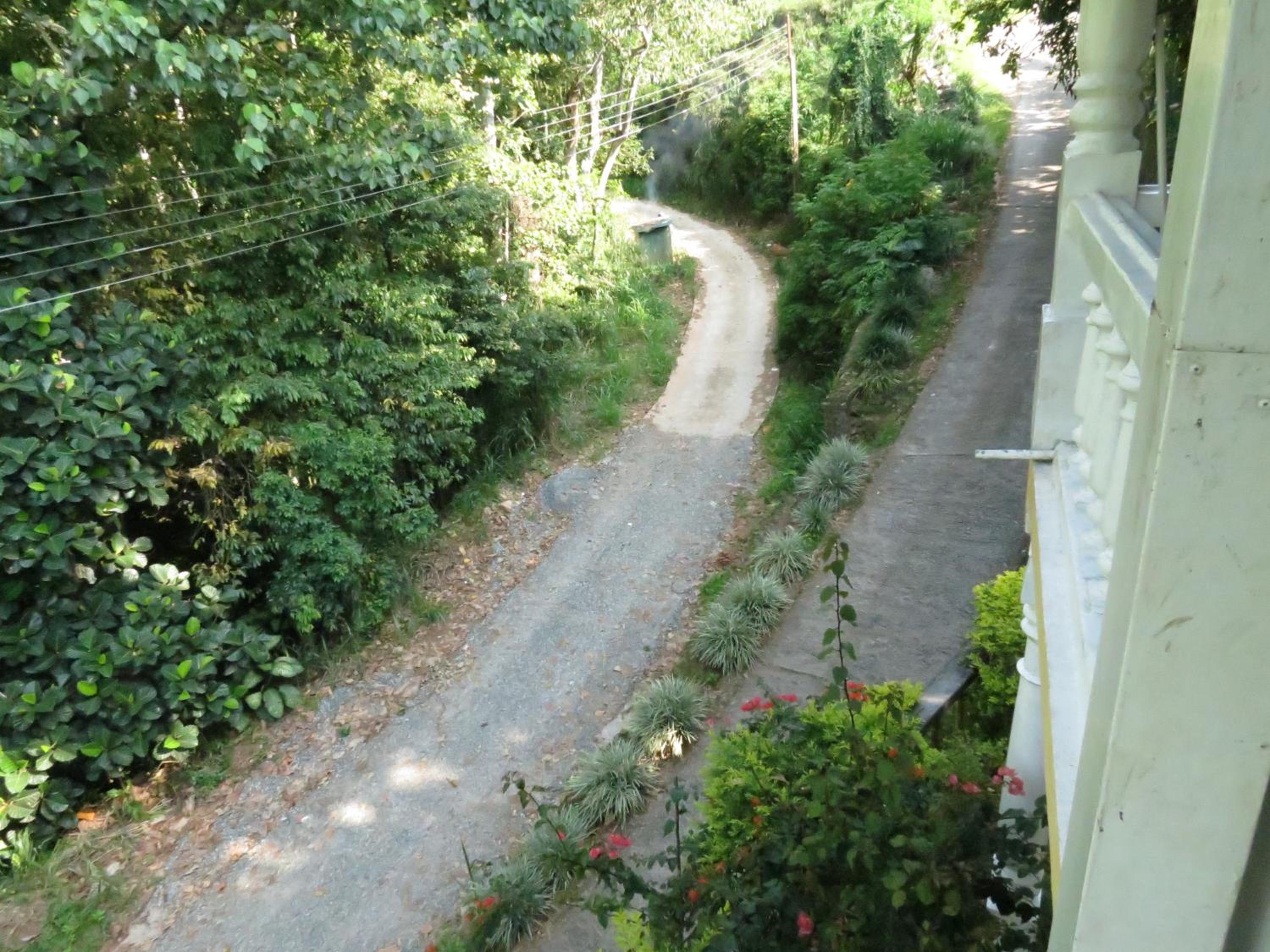 Hantana Forest Reserve Inn view 3