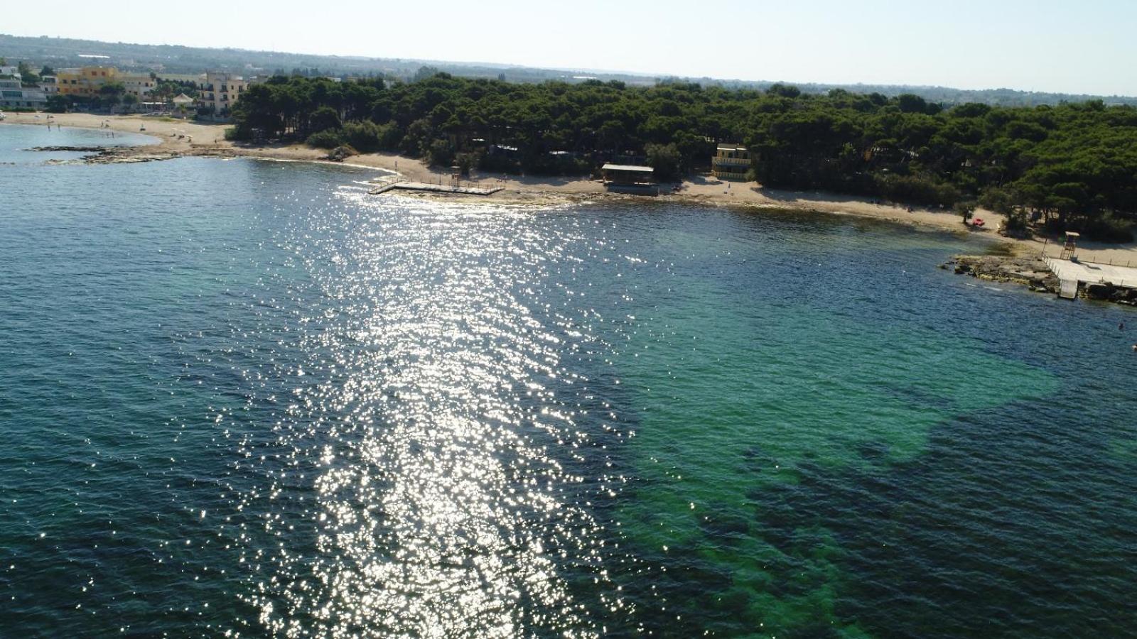 Happy Camp mobile homes in Camping La Vecchia Torre photo 4