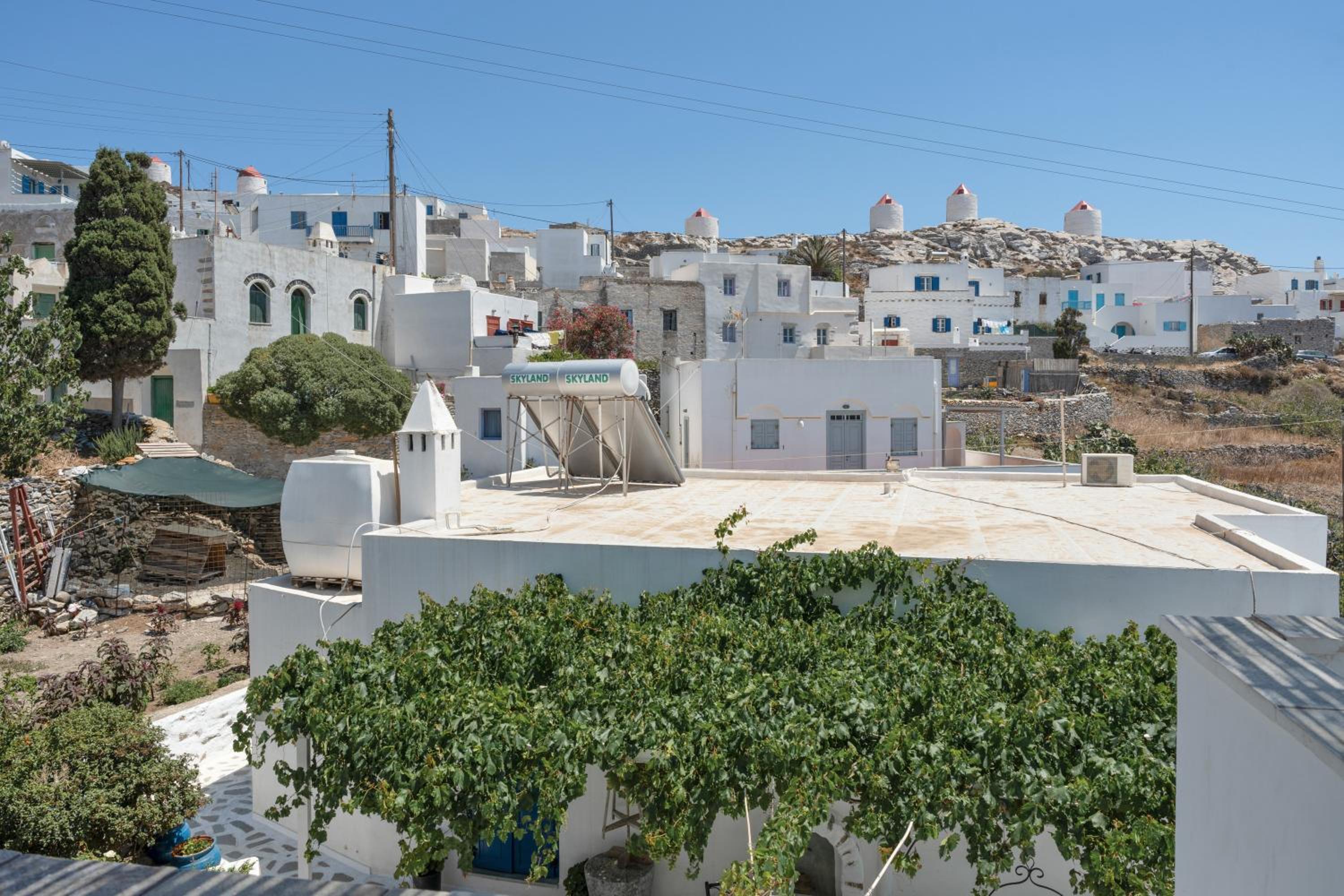 Politimis Studio N5 photo 2