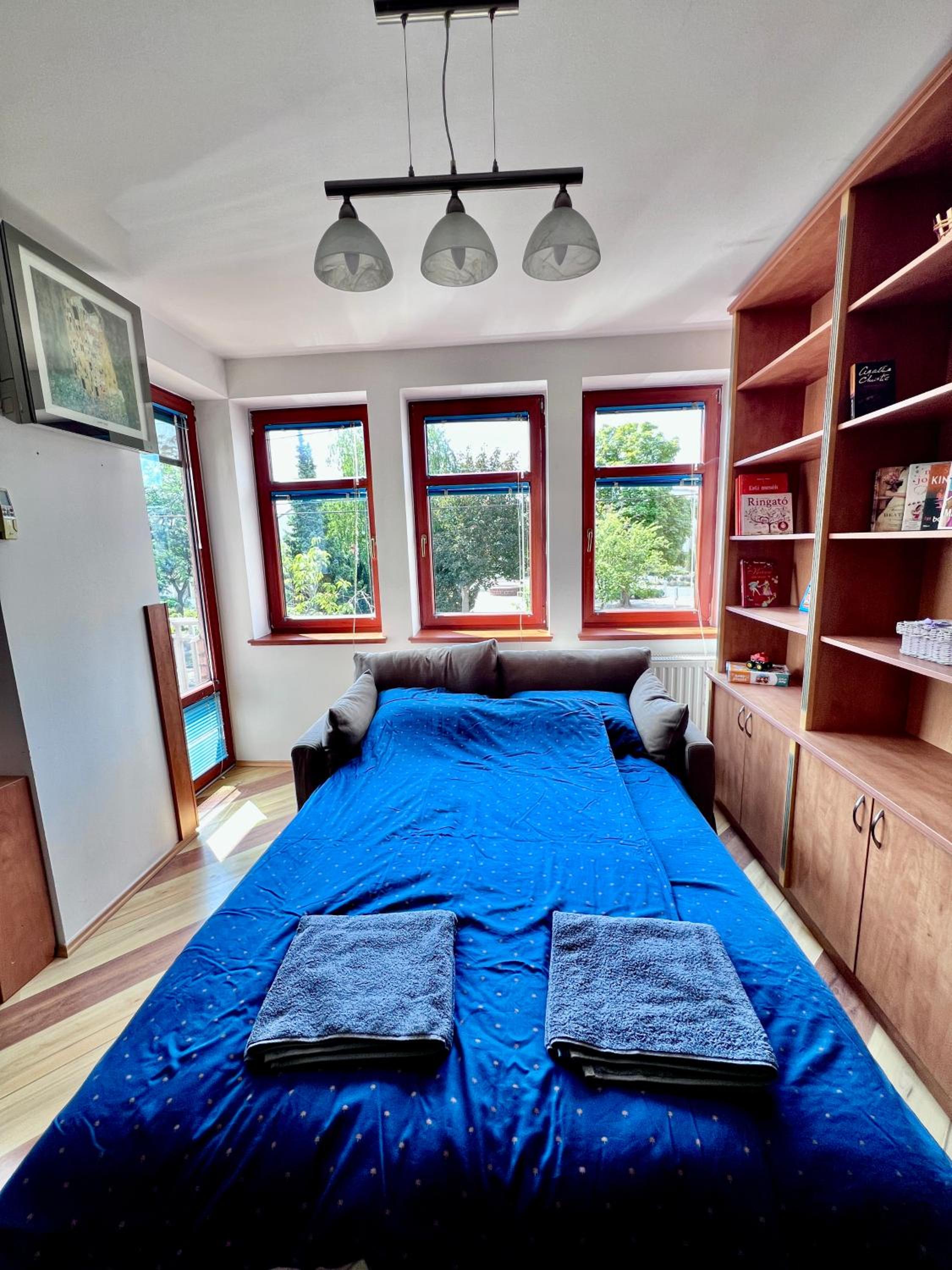 Roger Federer apartmanja view 4