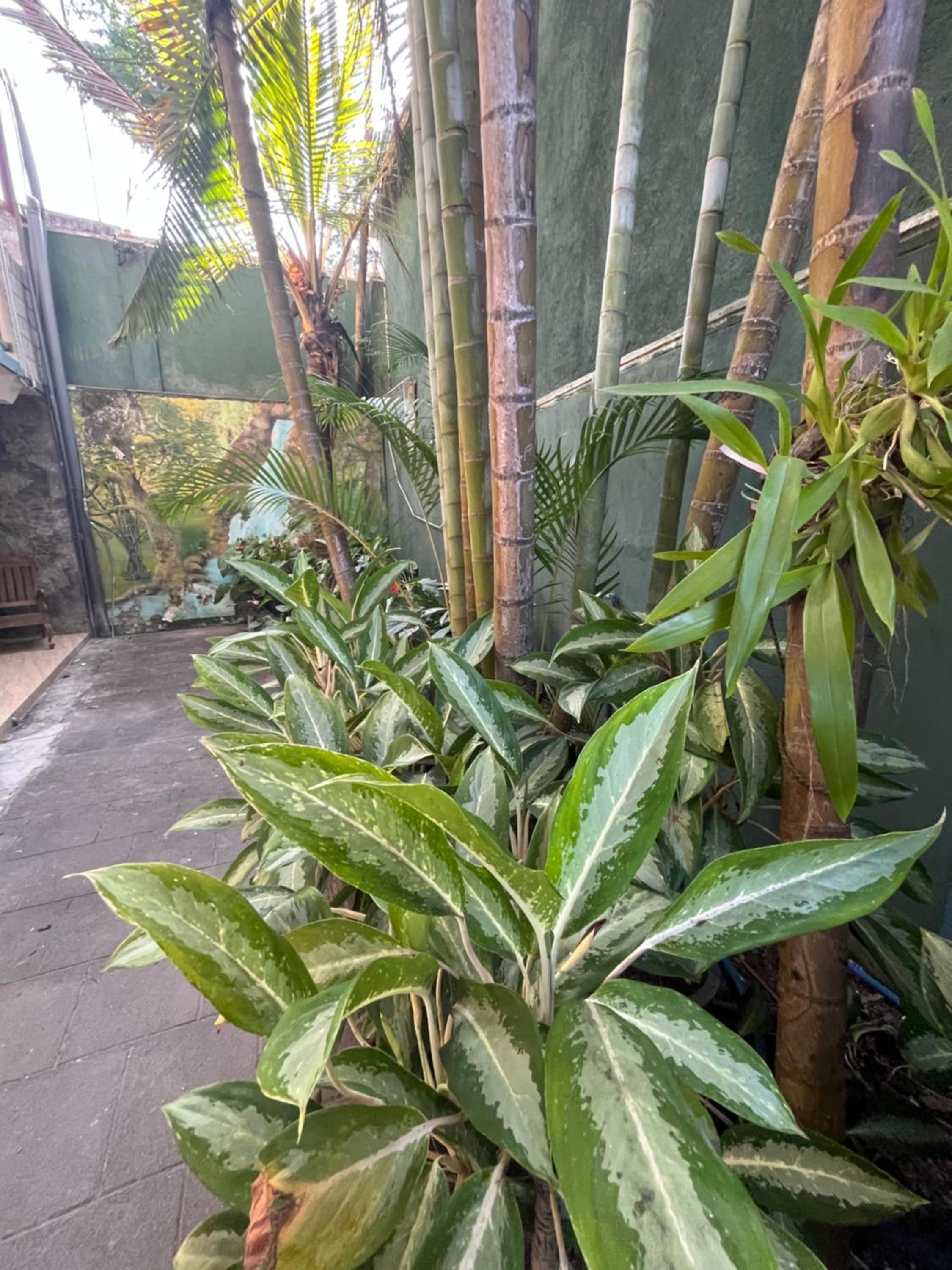 Viyanga Homestay