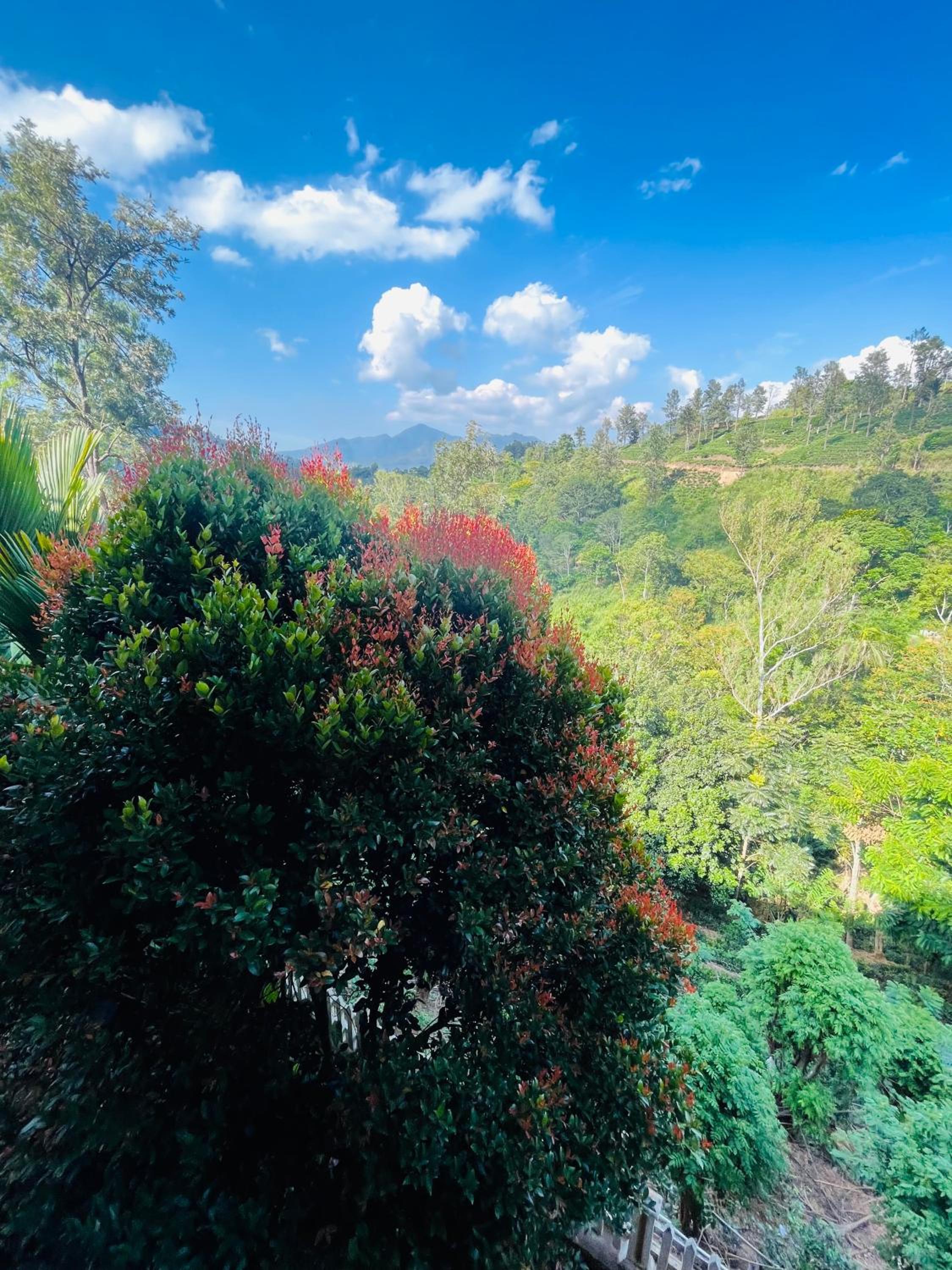 Viyanga Homestay