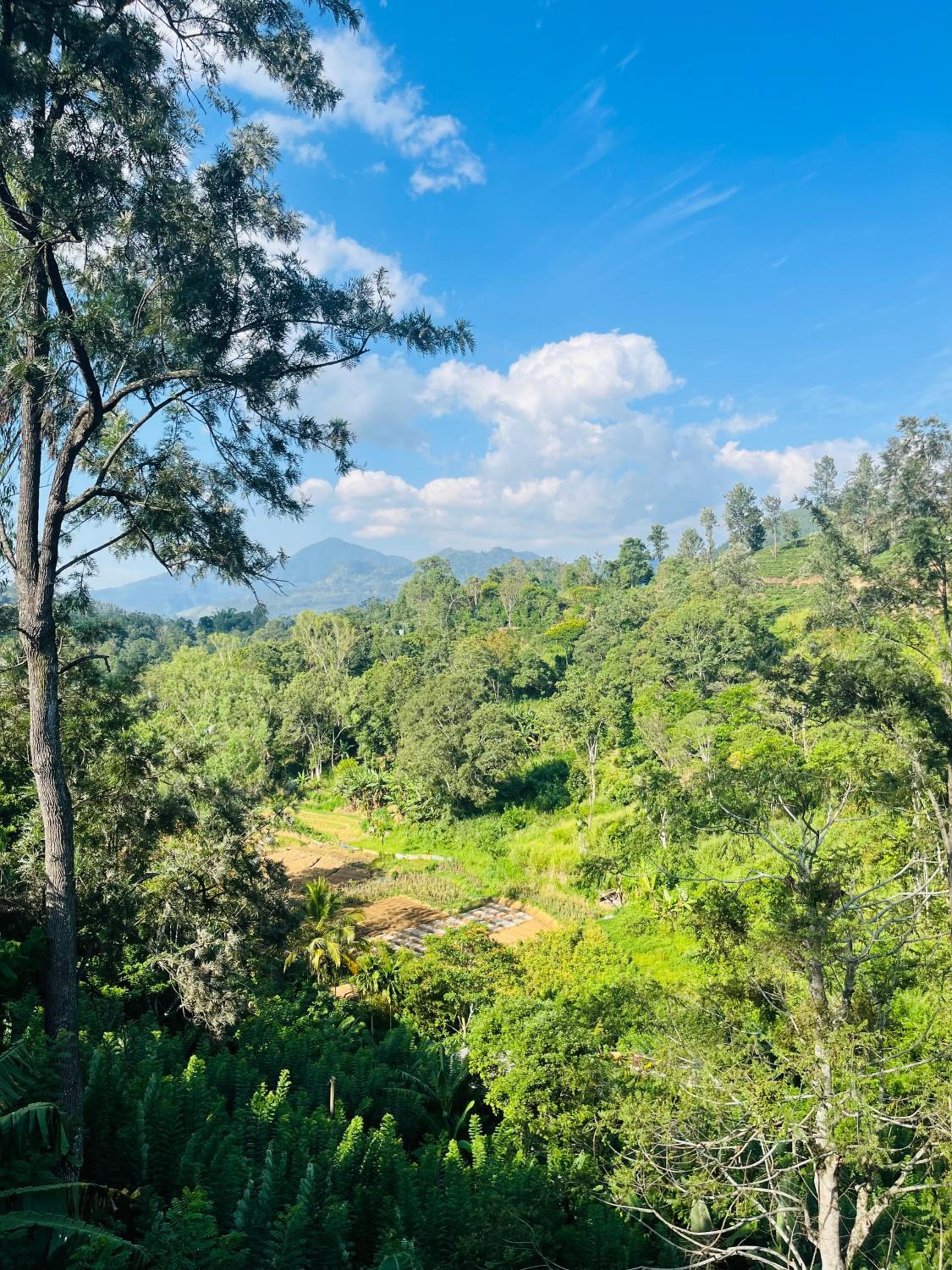 Viyanga Homestay