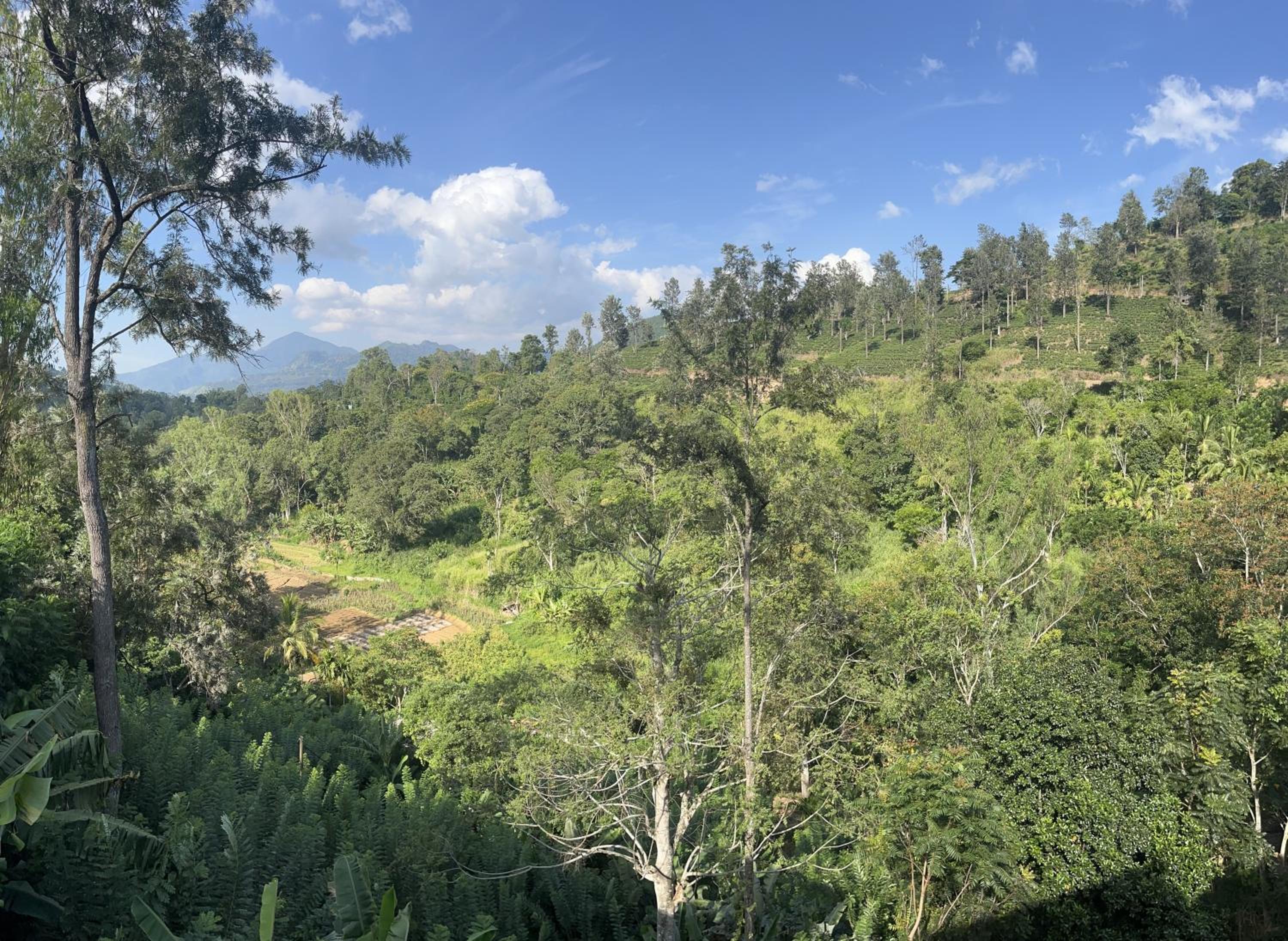 Viyanga Homestay