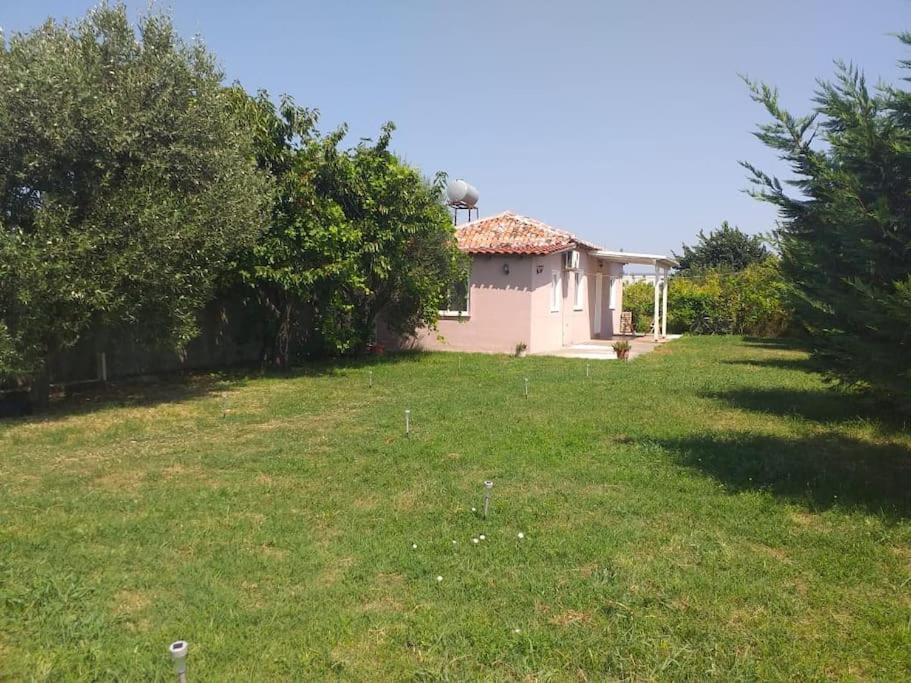 The Little Oasis Villa