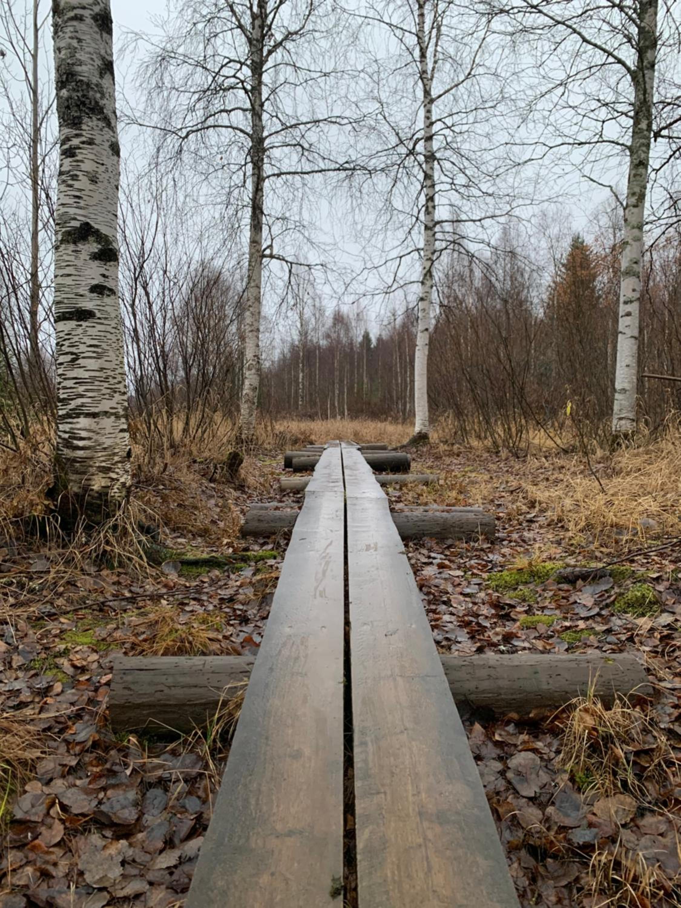 The Saunacabin Enchanted Lapland