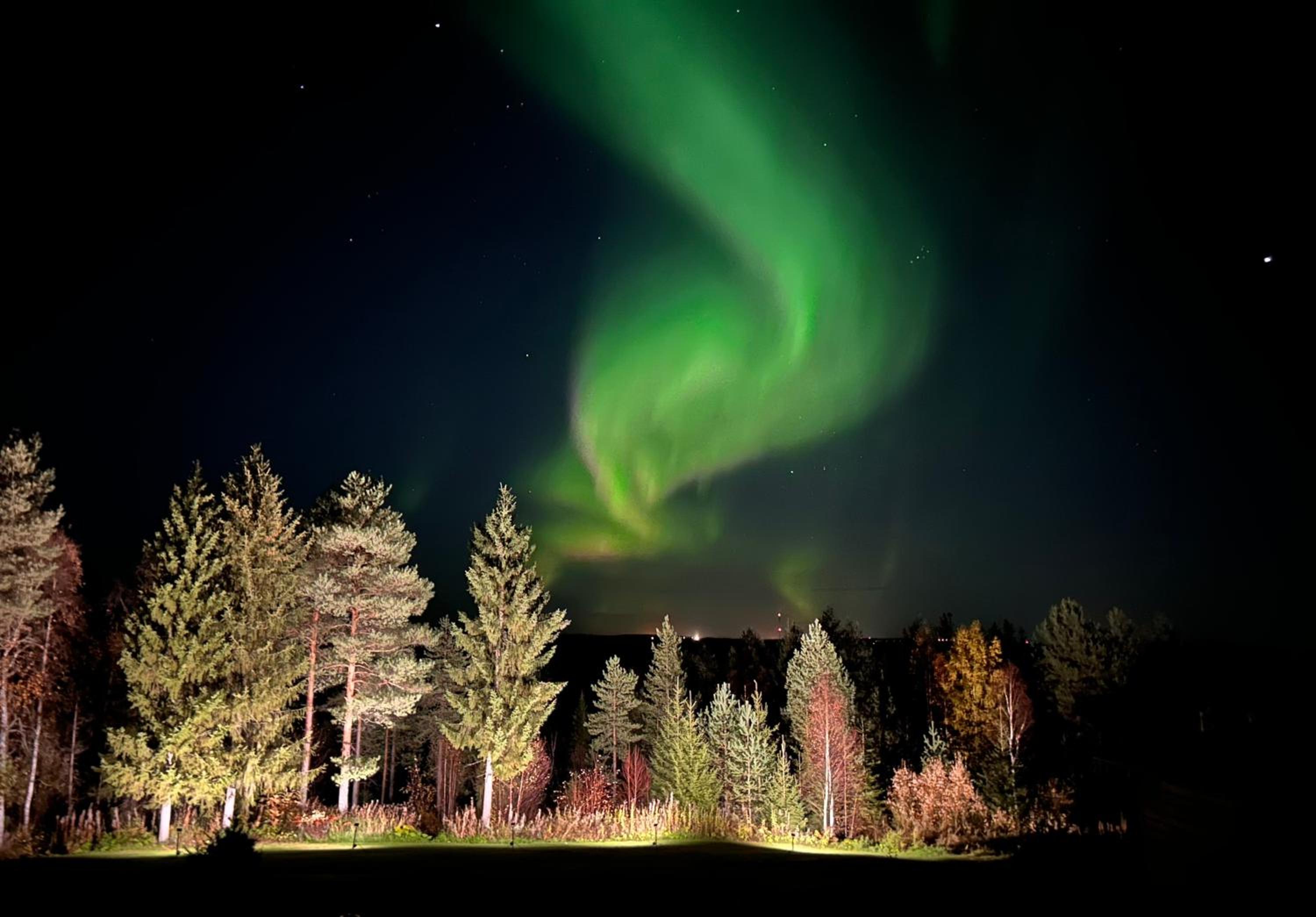 The Saunacabin Enchanted Lapland
