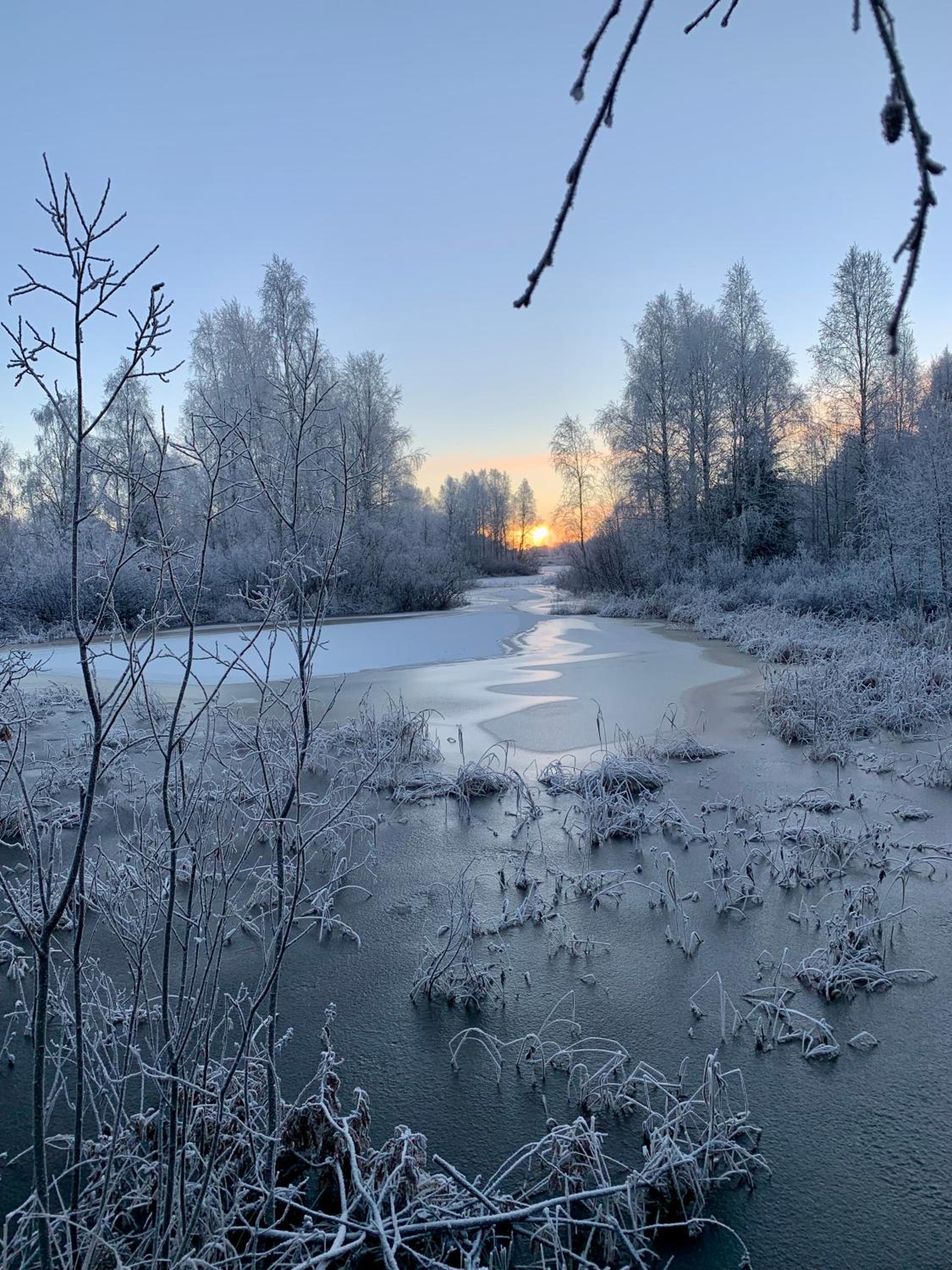 The Saunacabin Enchanted Lapland
