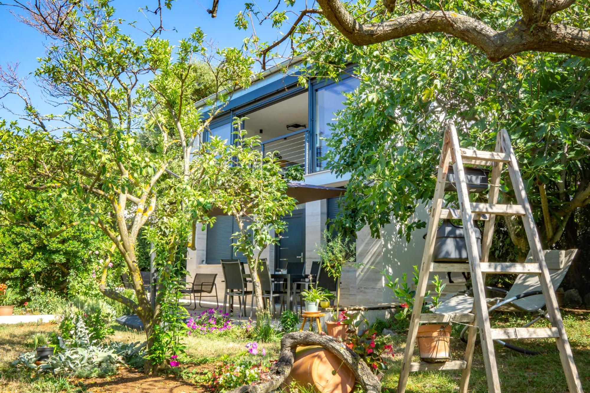 Apartman Fjaka