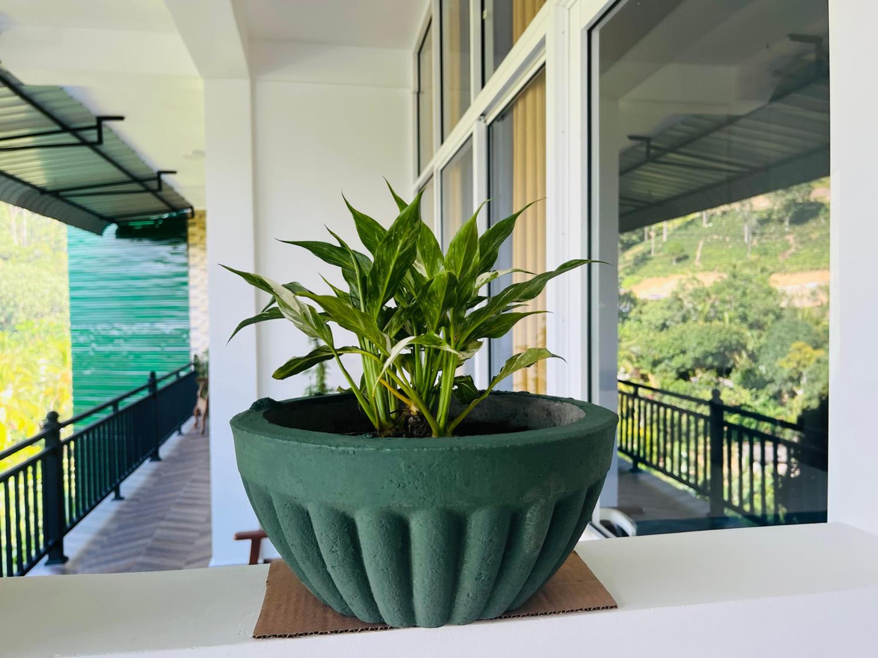 Viyanga Homestay