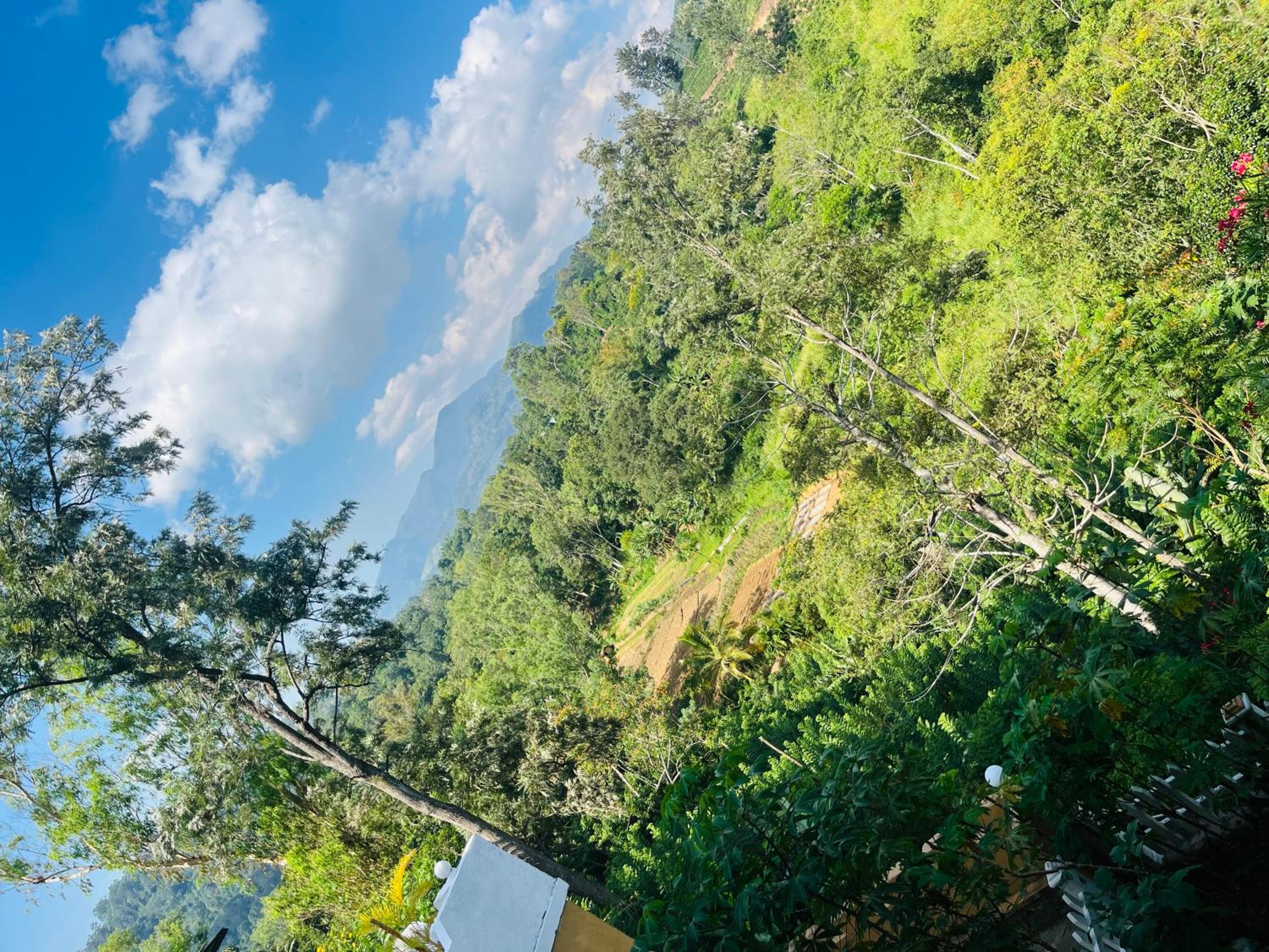 Viyanga Homestay