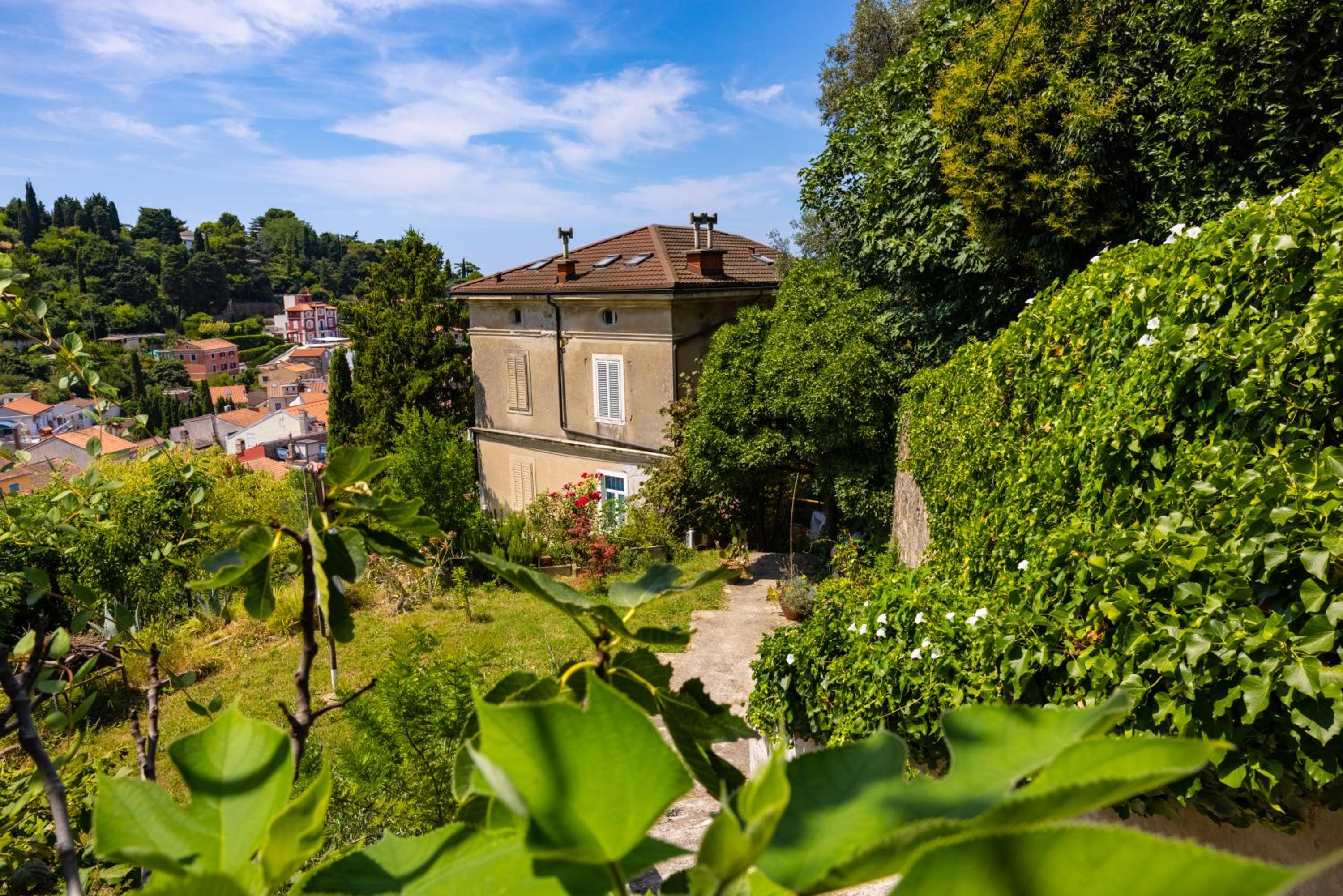 Adam Garden Piran view 4