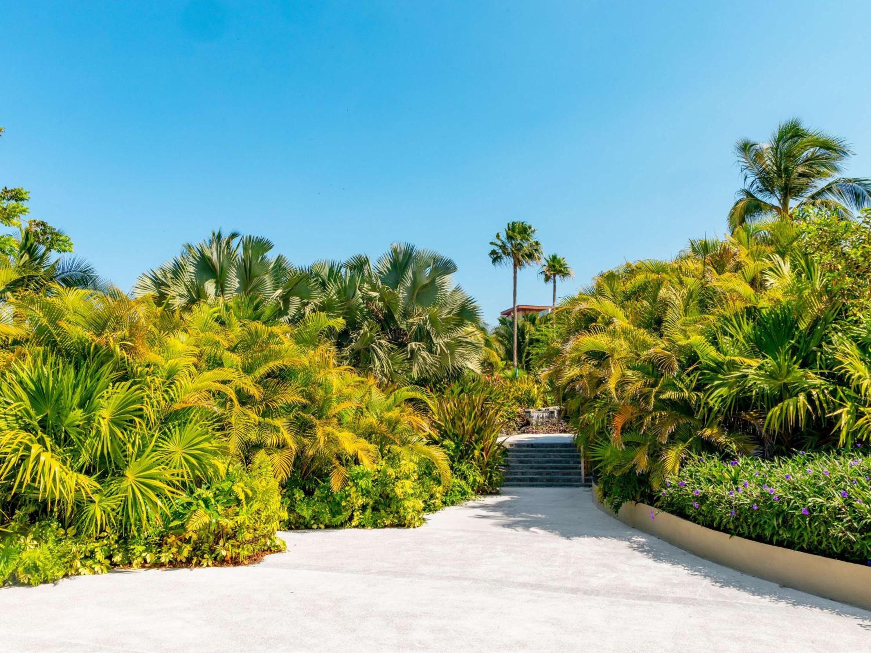 Armony Resort  Spa All Inclusive Adults Only future MGallery - Property Image 55