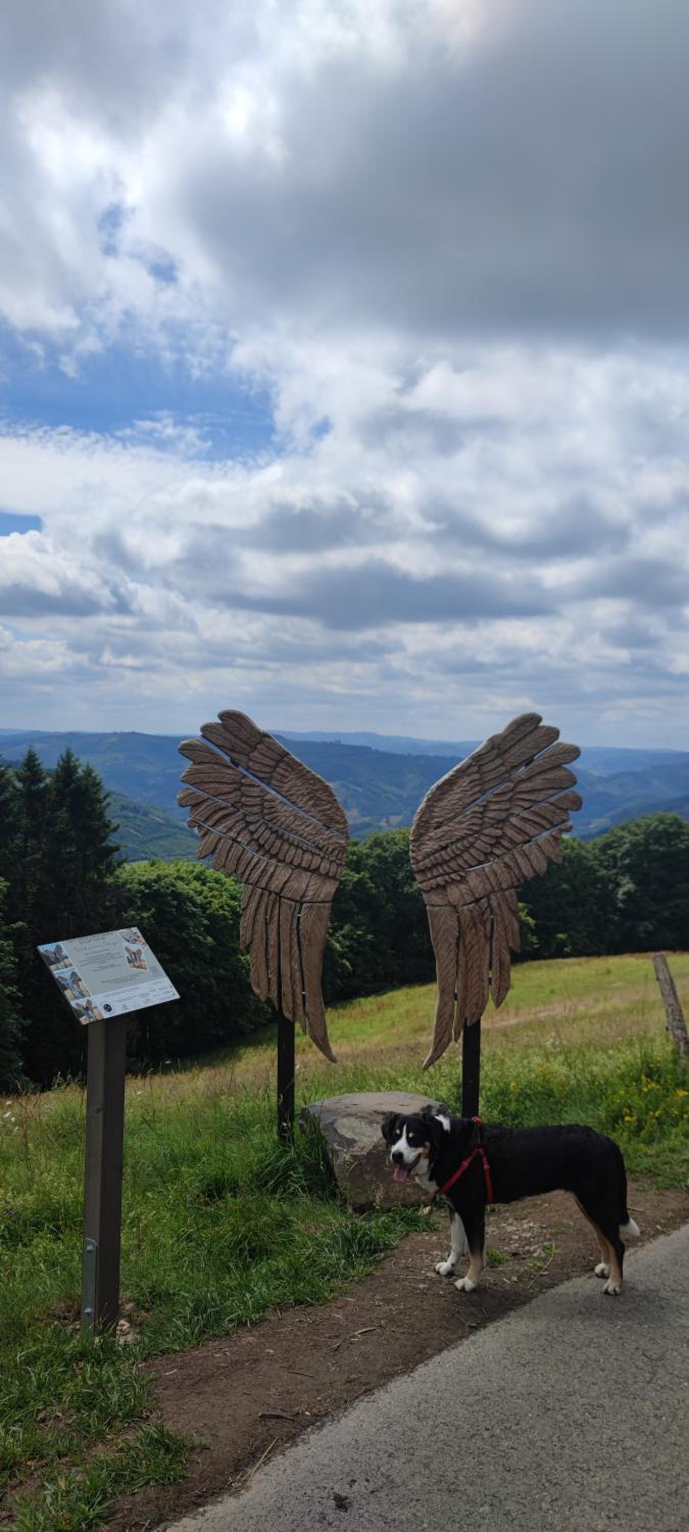 Modernes Rhombushaus im Naturparadies Sauerland