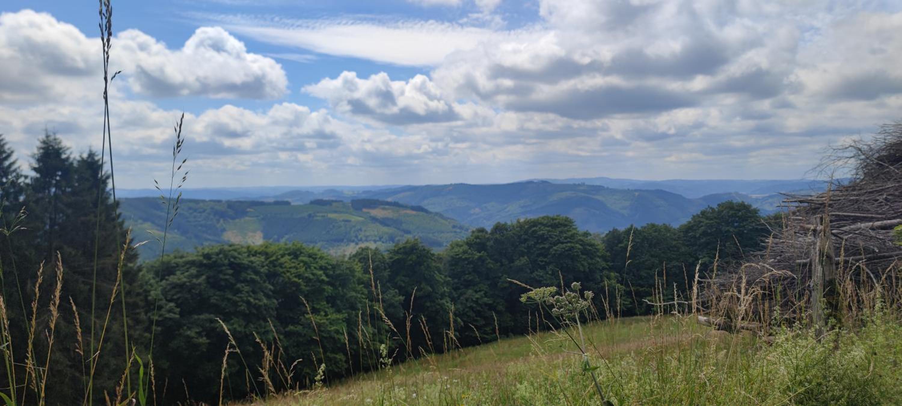 Modernes Rhombushaus im Naturparadies Sauerland