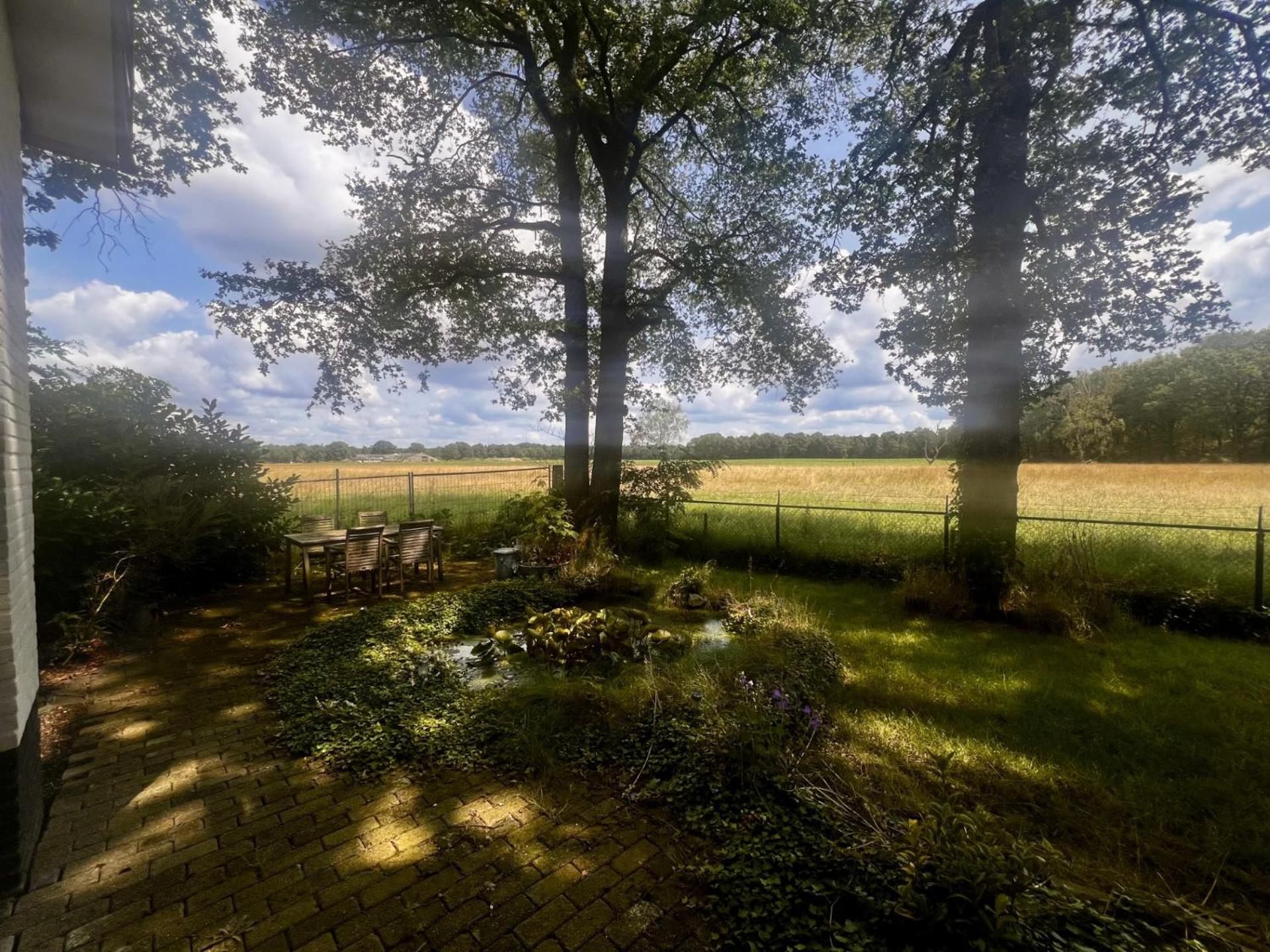 Luxe recreatiebungalows midden in bosrijke omgeving Waalre Noord-Brabant