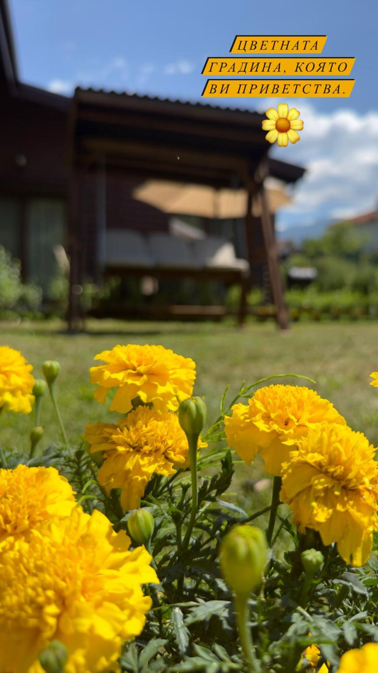 Guest House Recharge