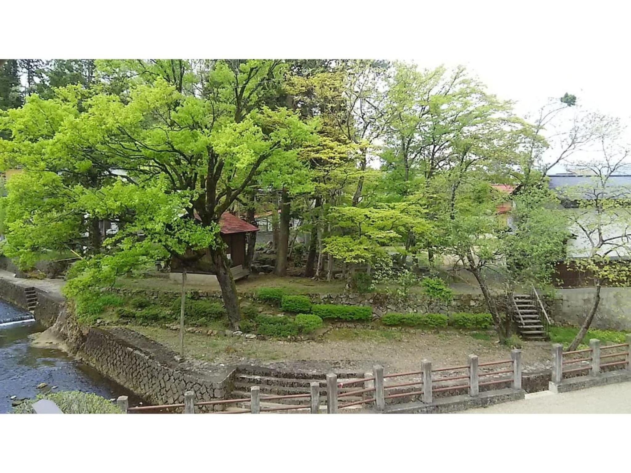 Photo 7