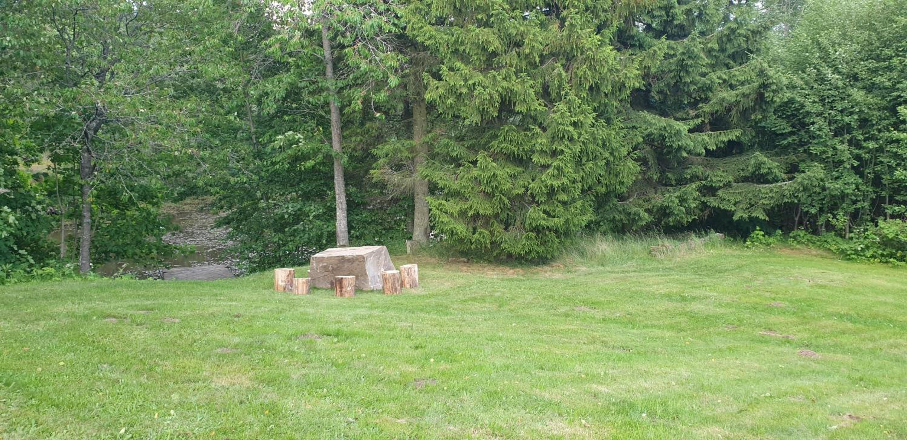 Photo 6