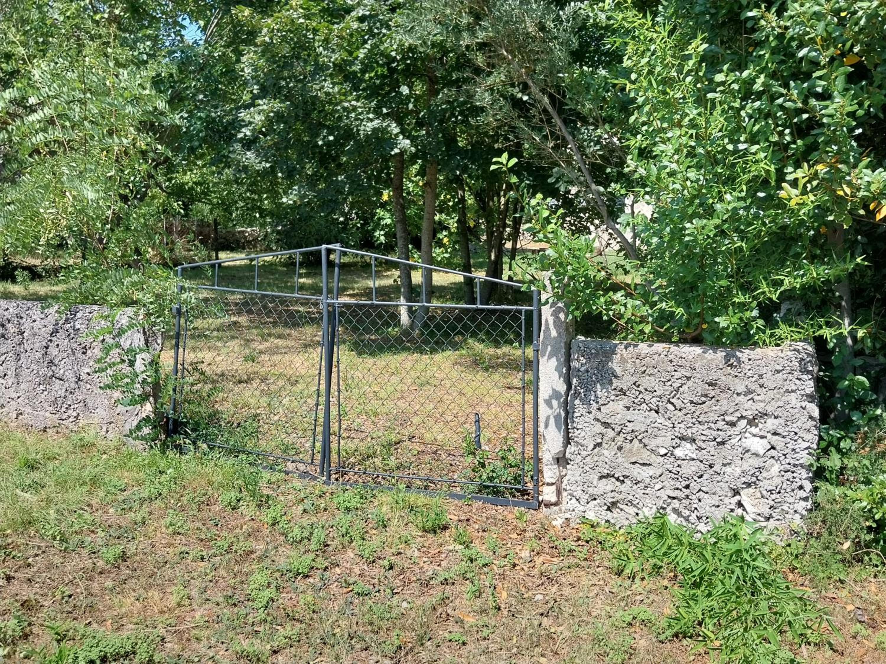 Photo 36