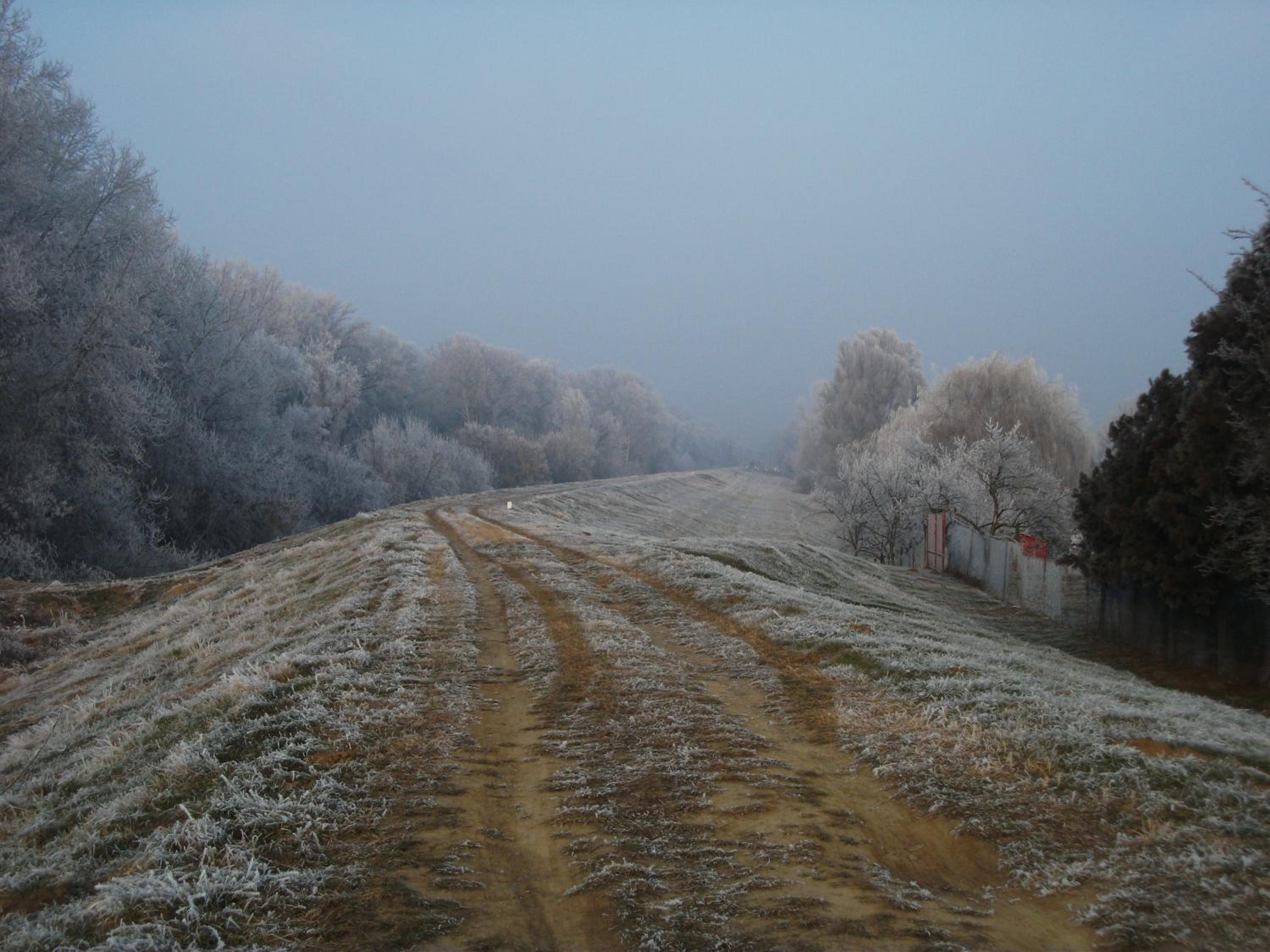 Photo 33