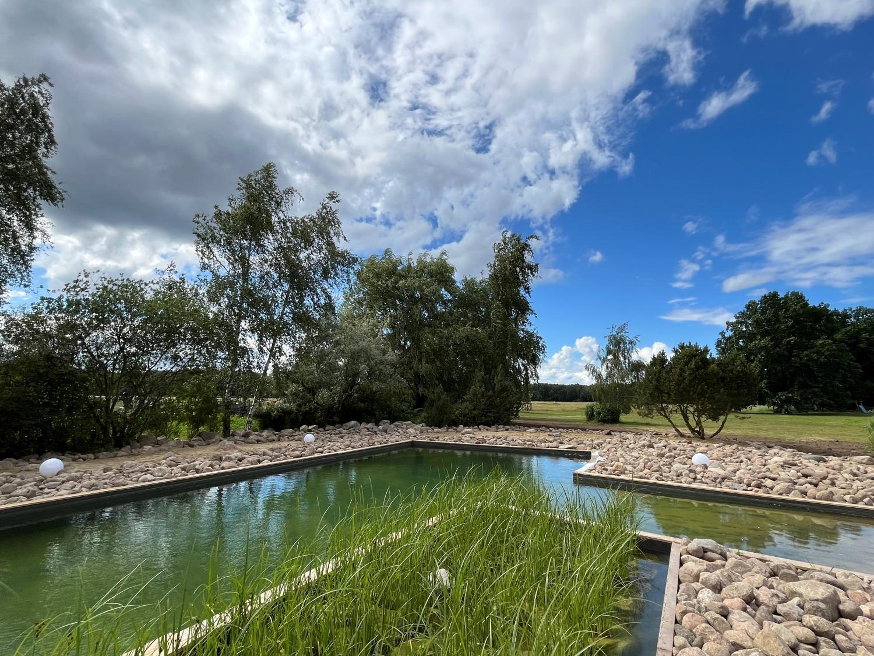 Reetdachhaus mit Schwimmteich in Krienke