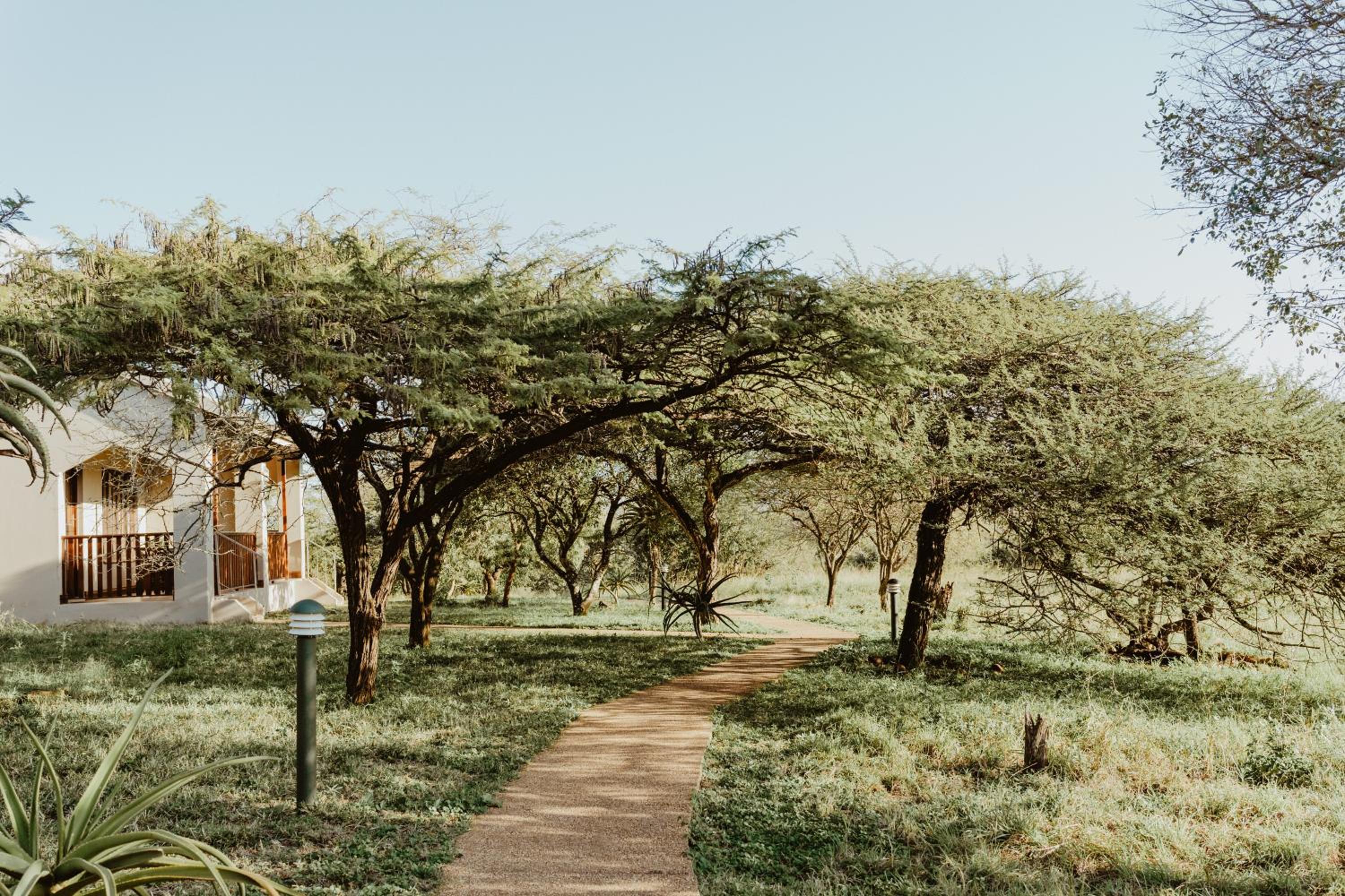 Hluhluwe Vacations - Duiker Game Lodge - Property Image 7