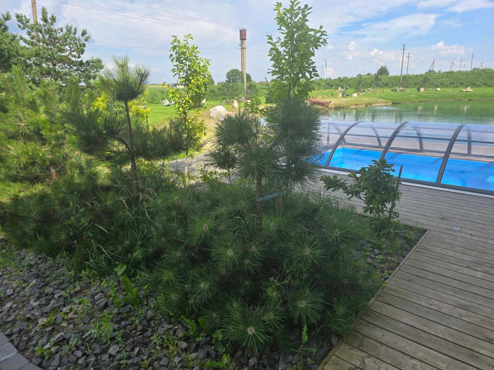 Apartamentai su privačiu baseinu Palangoje