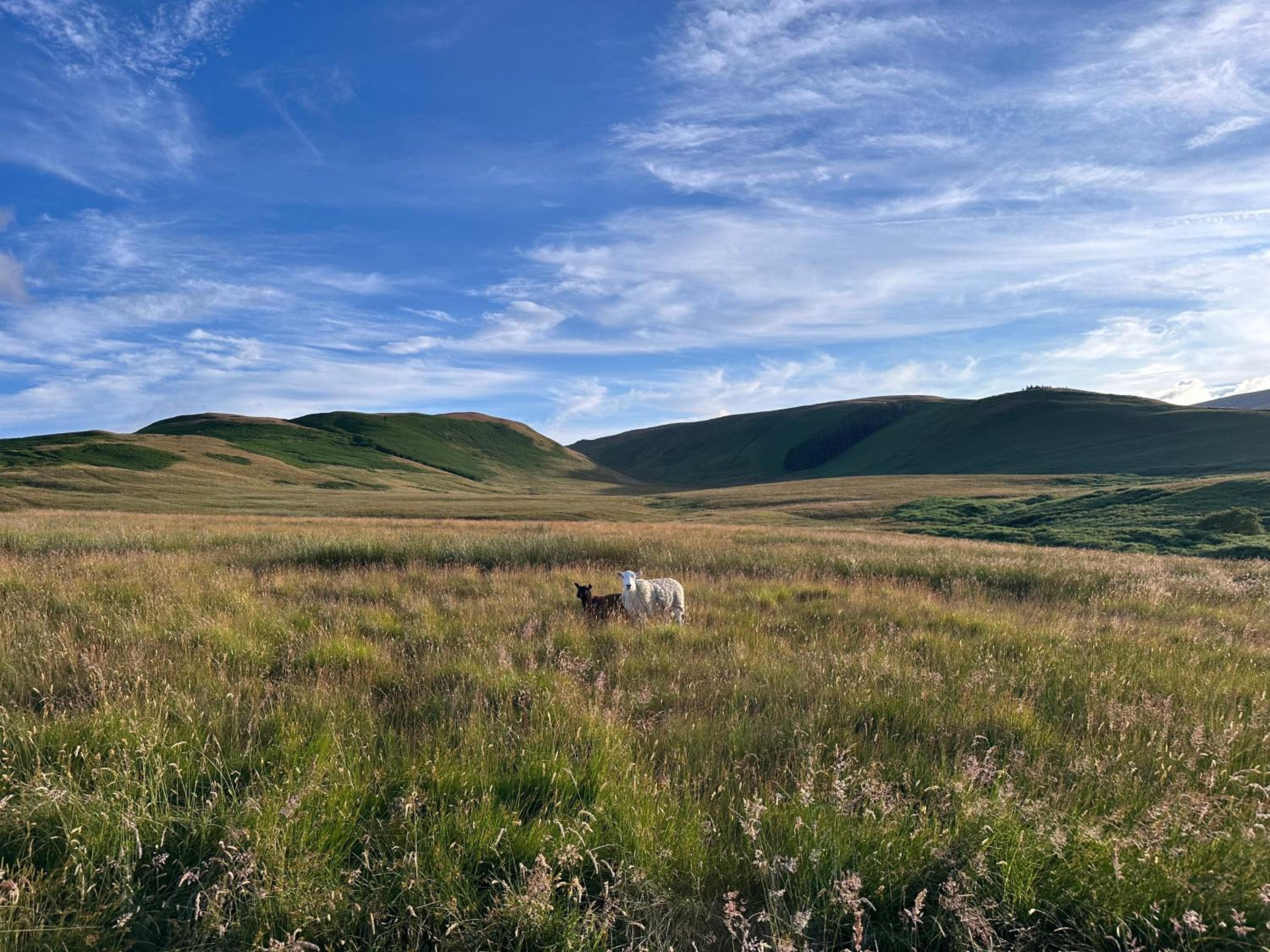 Photo 24