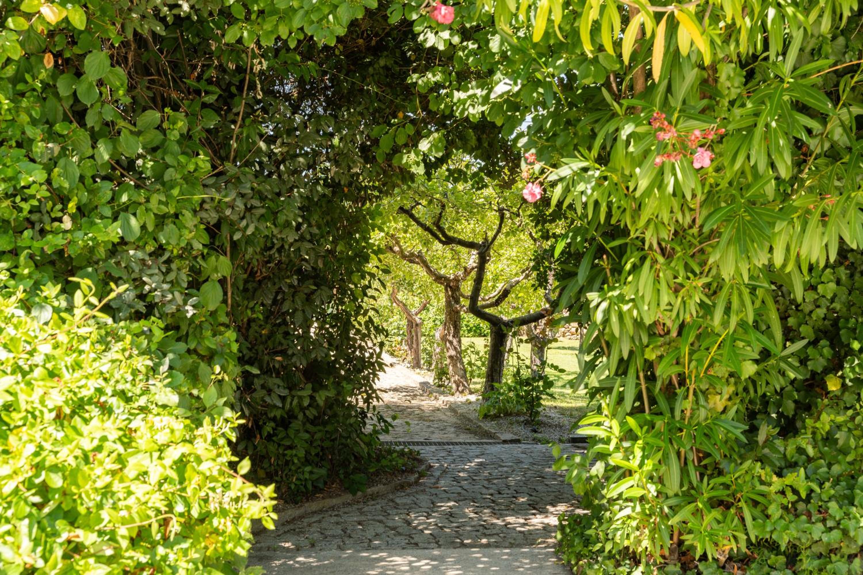 Photo 77