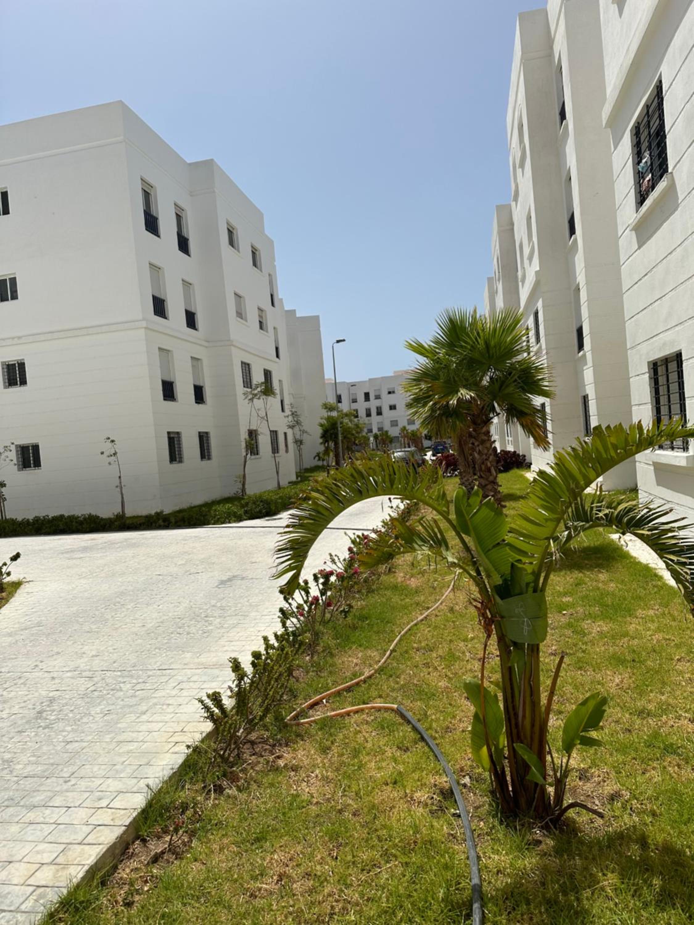 Riad Tanger forêt diplomatique 5 min de la plage