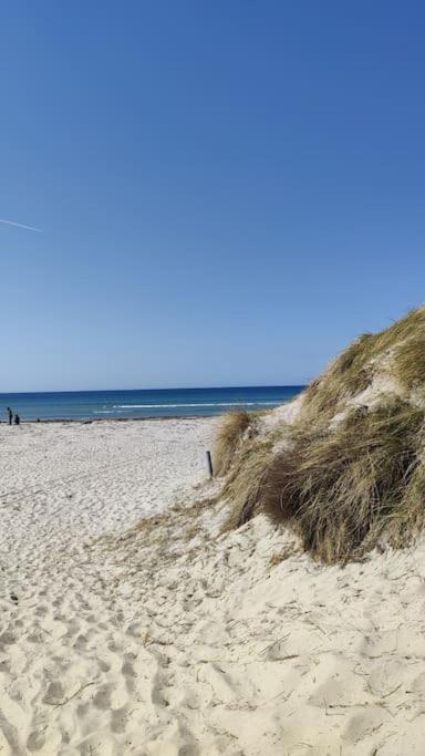 Hyggeligt lille sommerhus