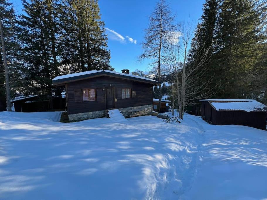 Schönes Chalet in Adelboden