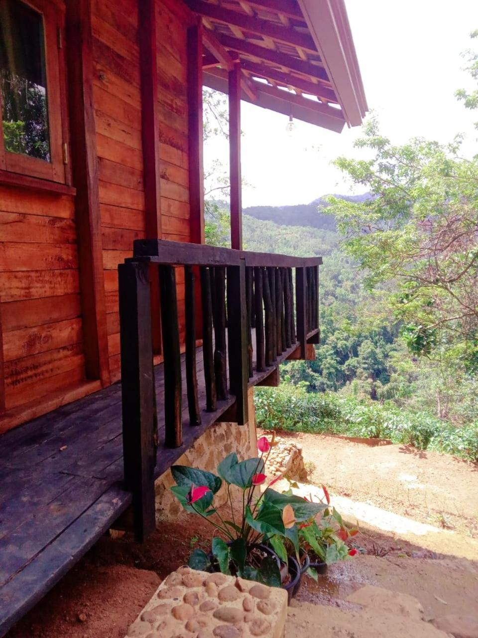 Woodland Hideaway in Sinharaja