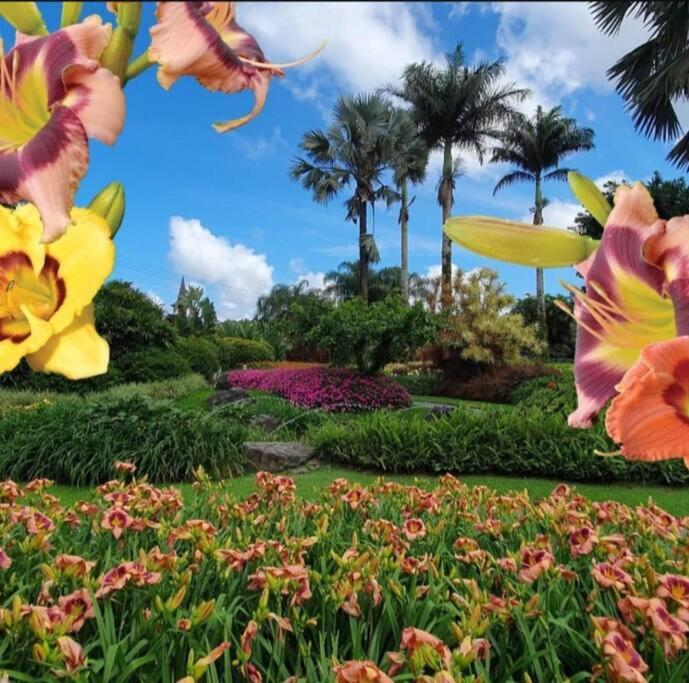 Apartamento Cidade das Flores