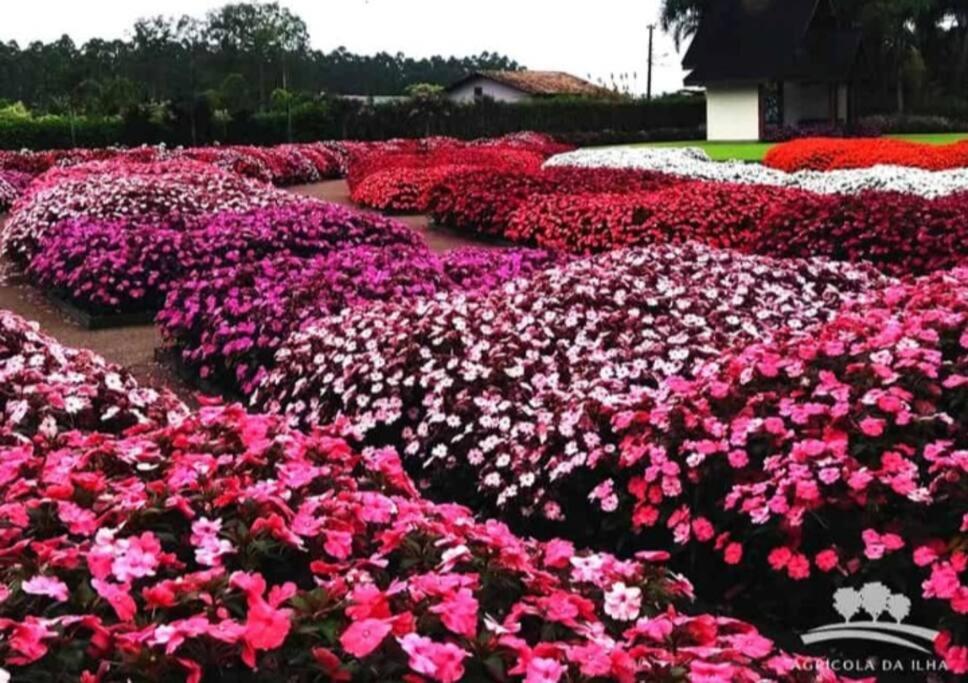 Apartamento Cidade das Flores