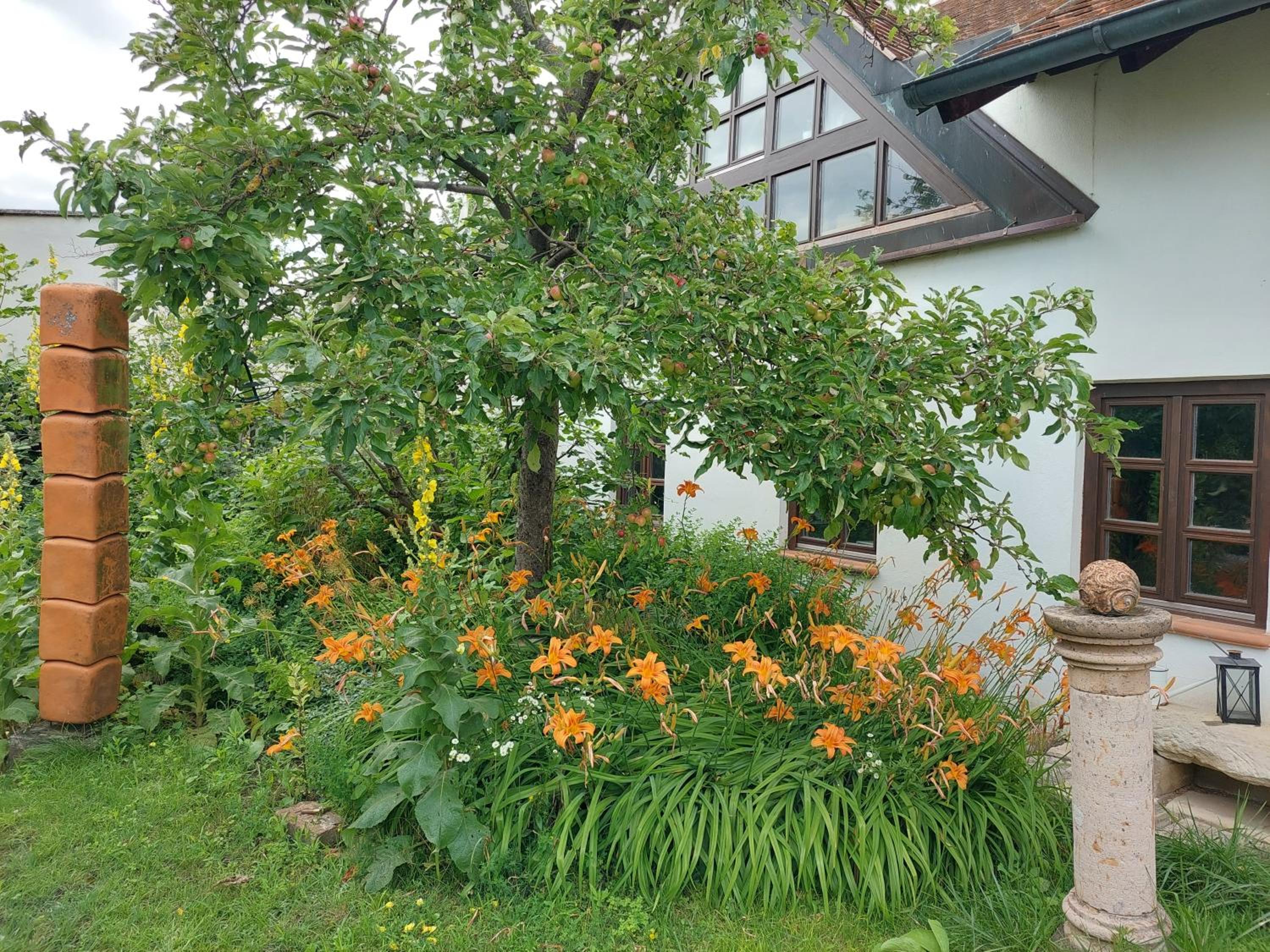 Atelierwohnung ELLE