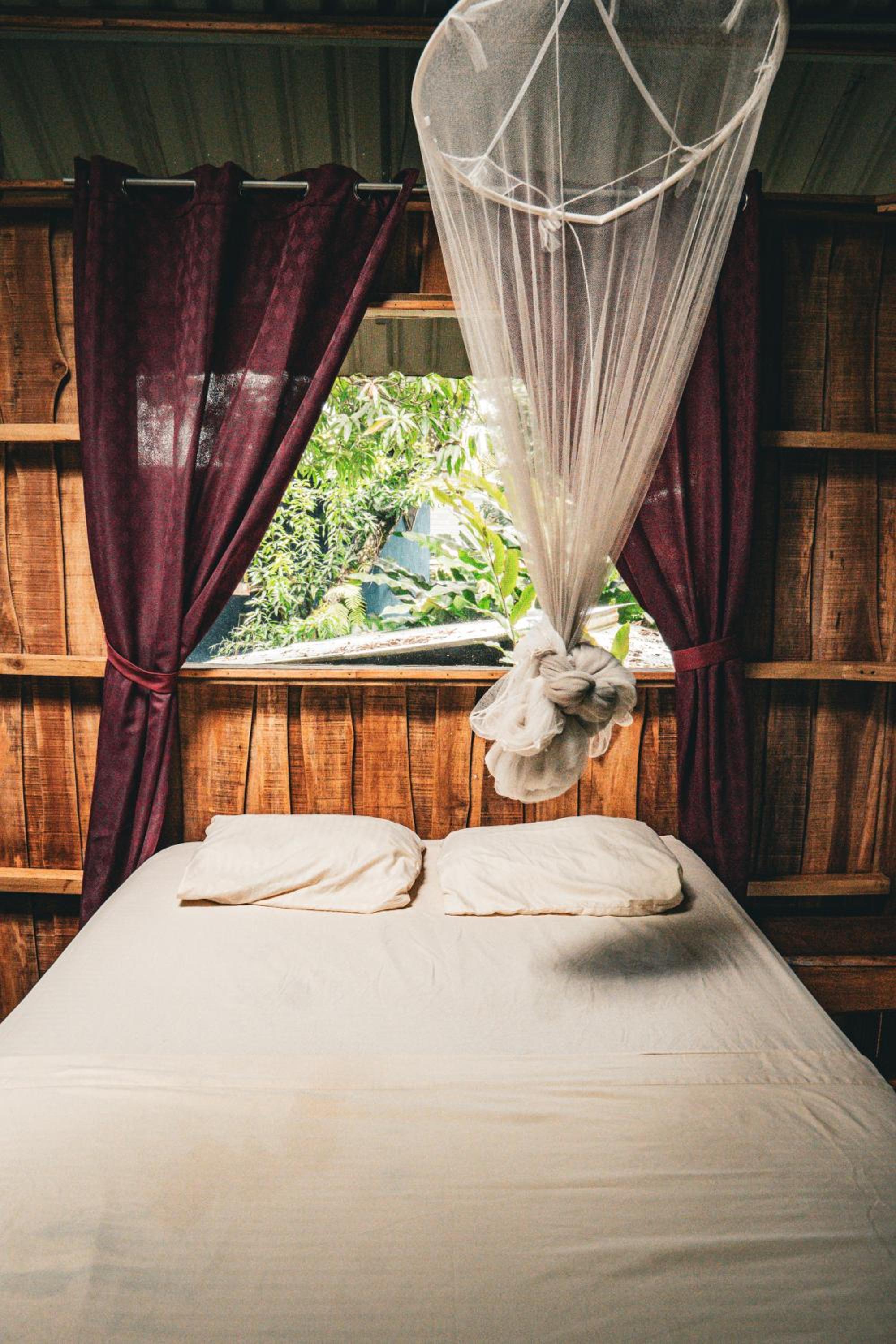 Flutterby House Hostel