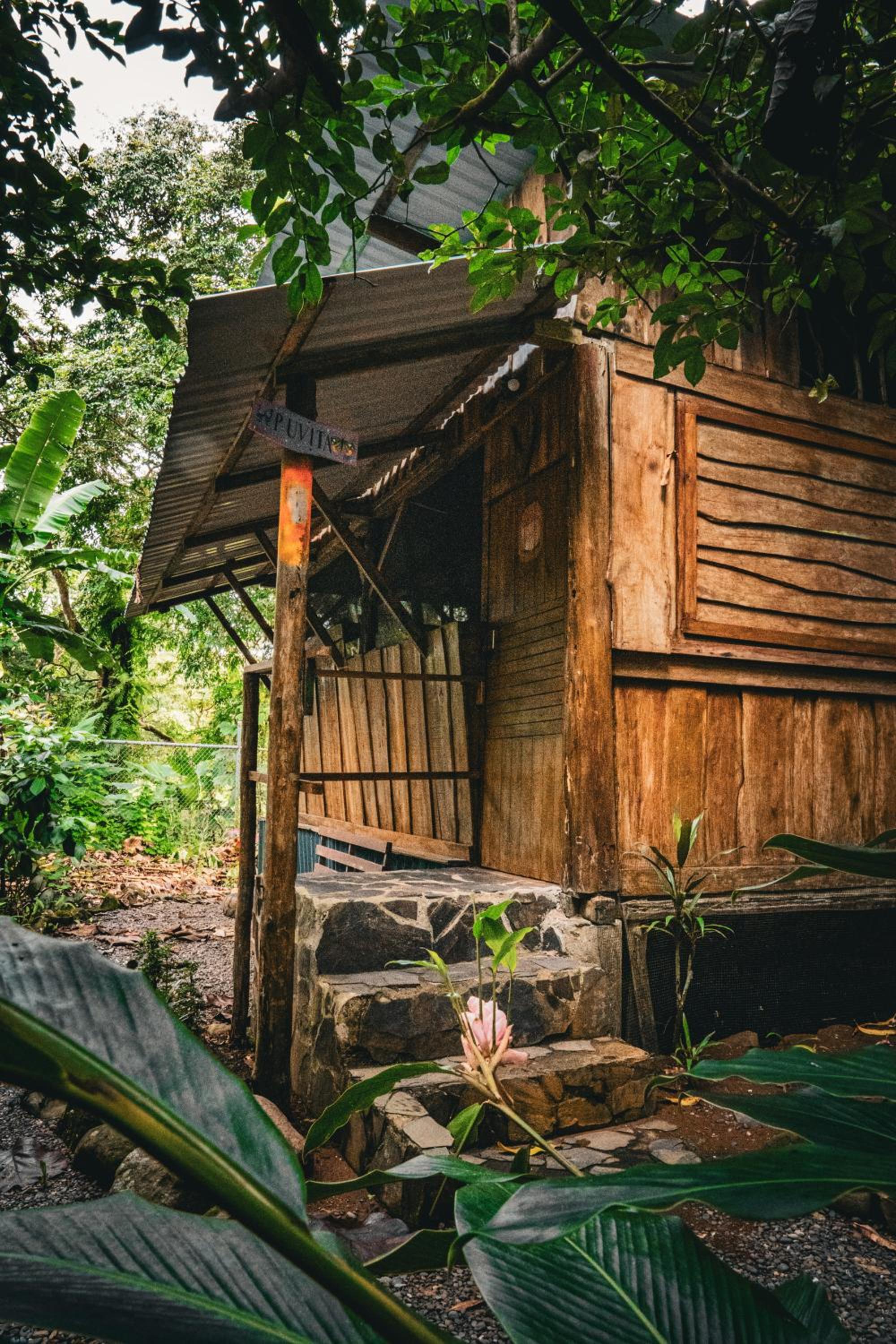 Flutterby House Hostel