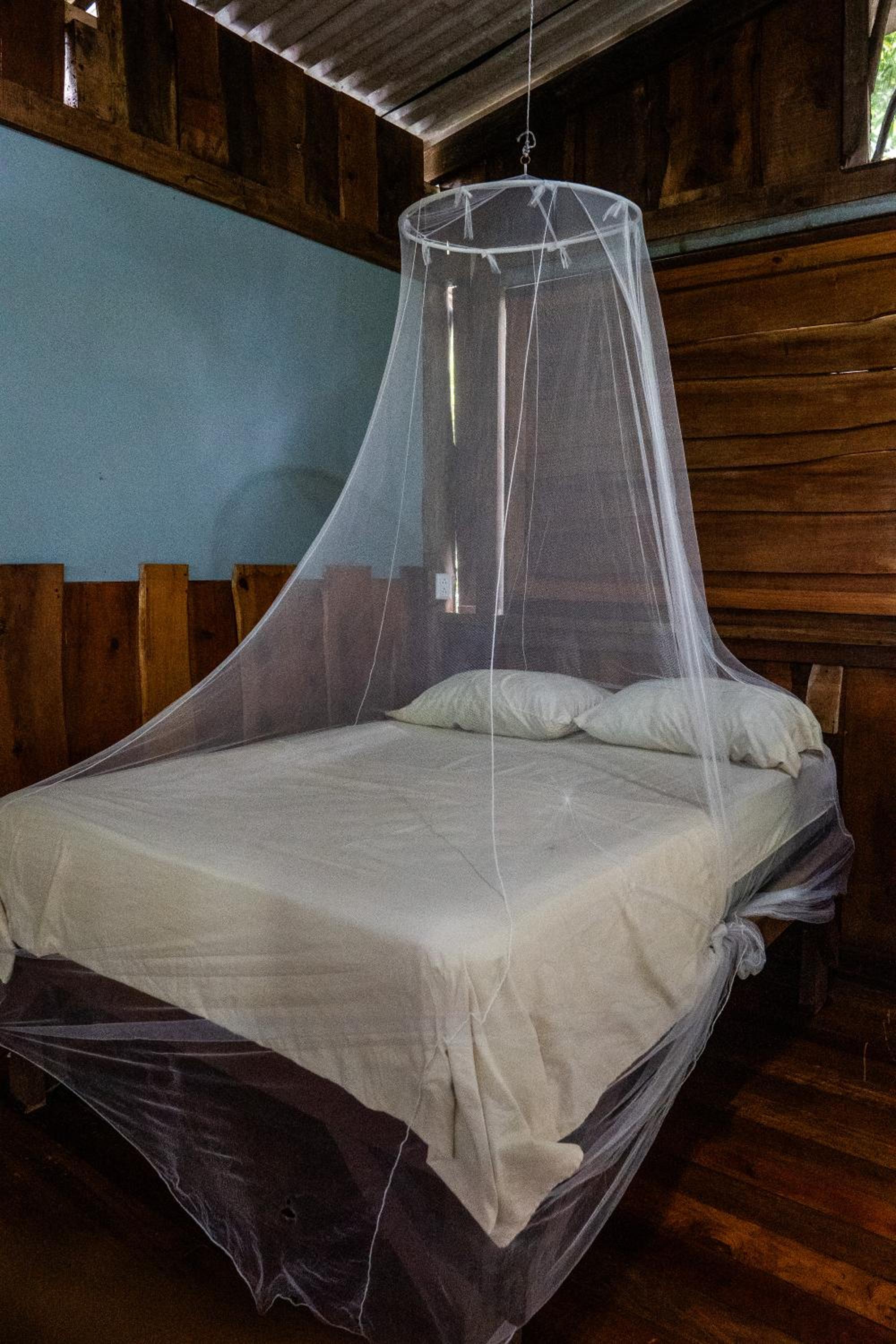 Flutterby House Hostel
