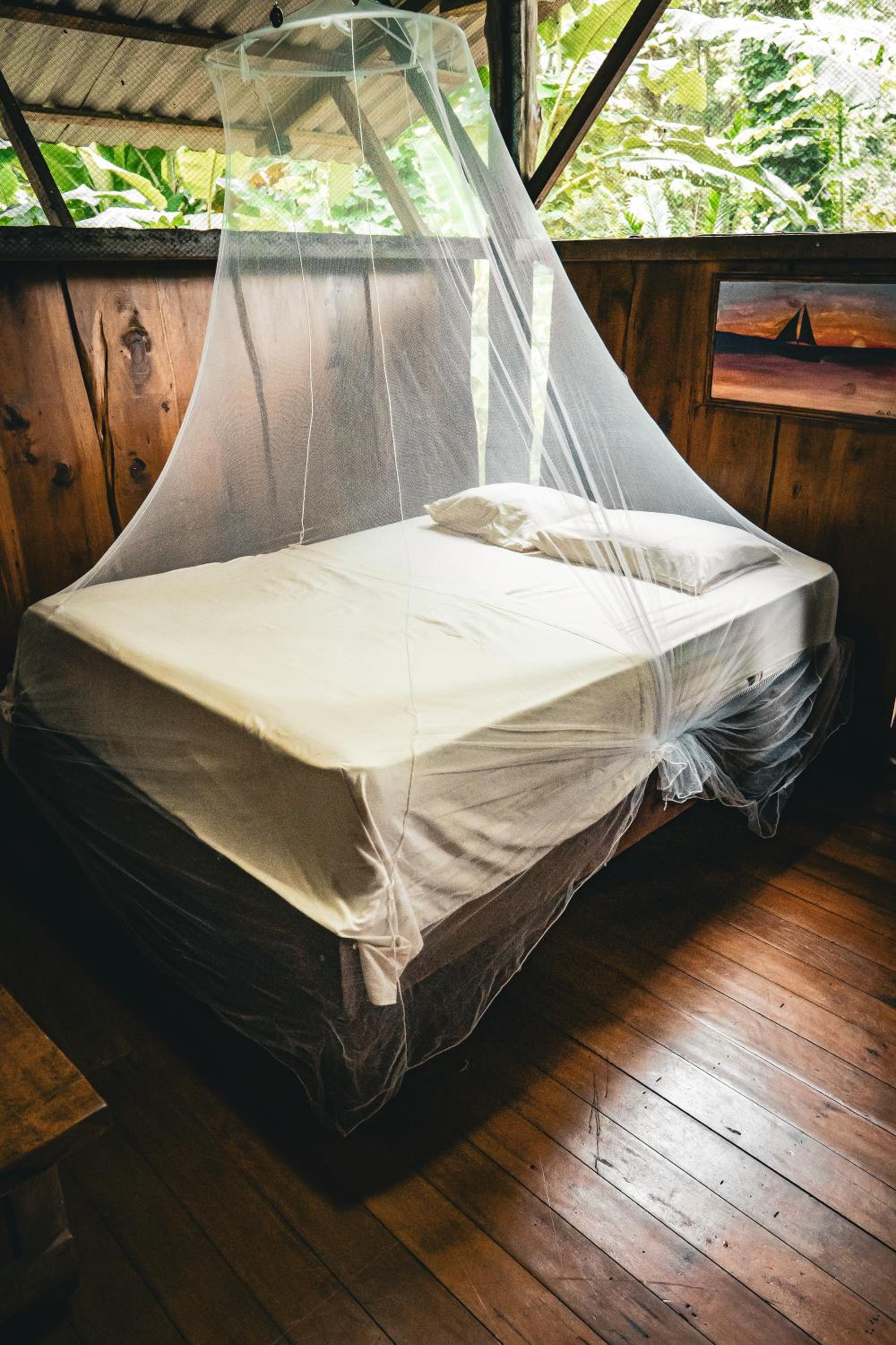 Flutterby House Hostel