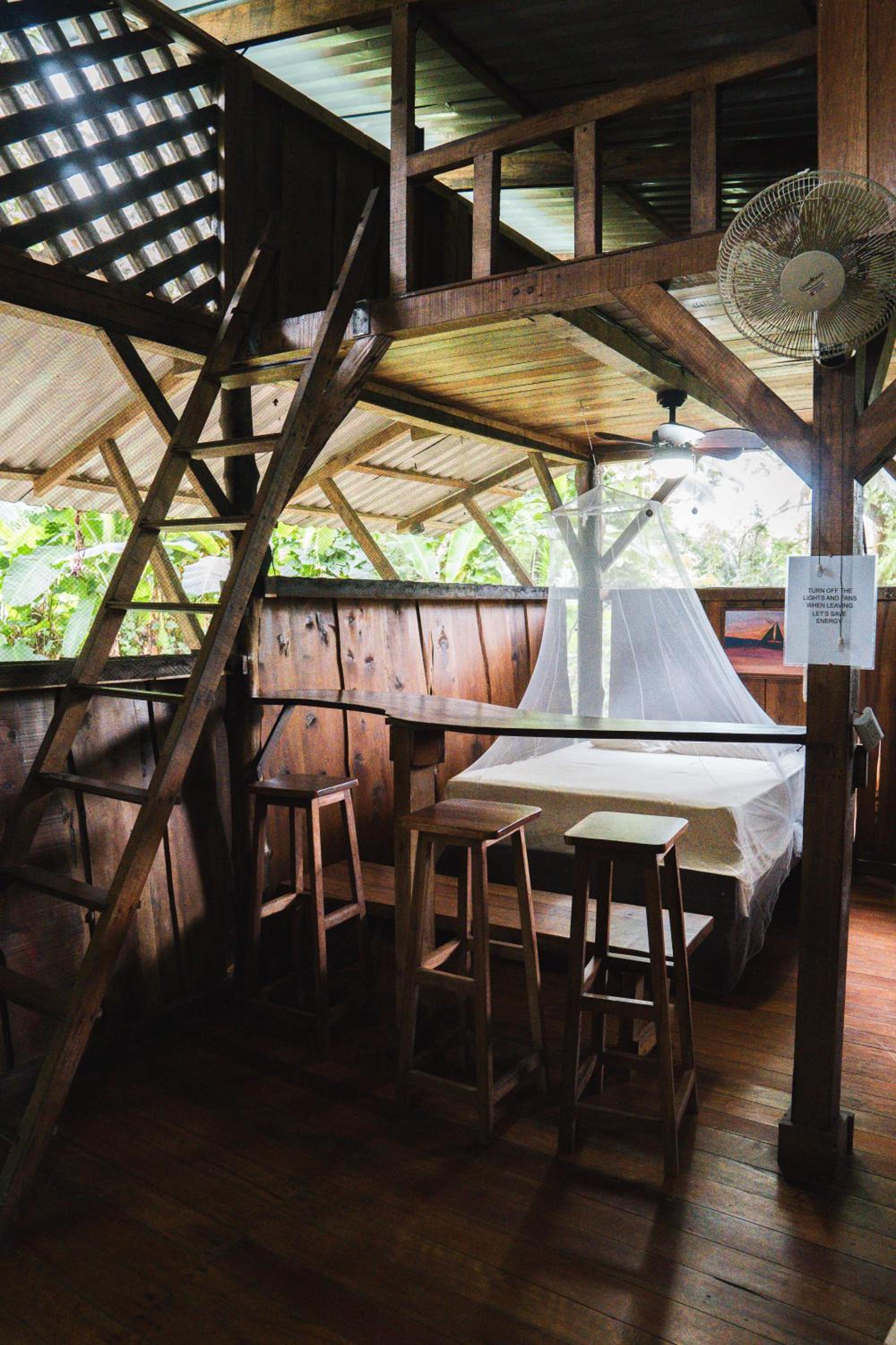 Flutterby House Hostel