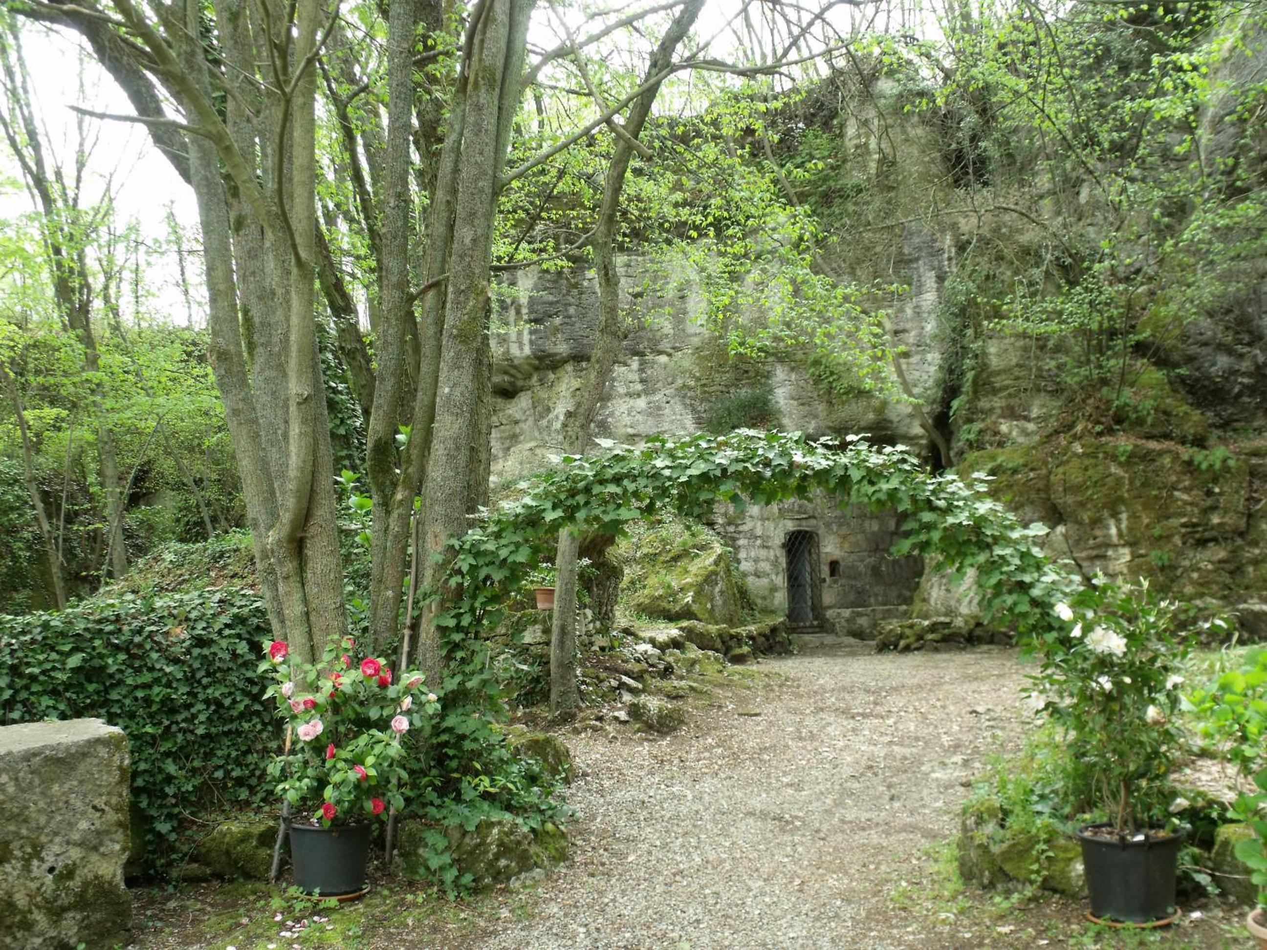 Photo 41